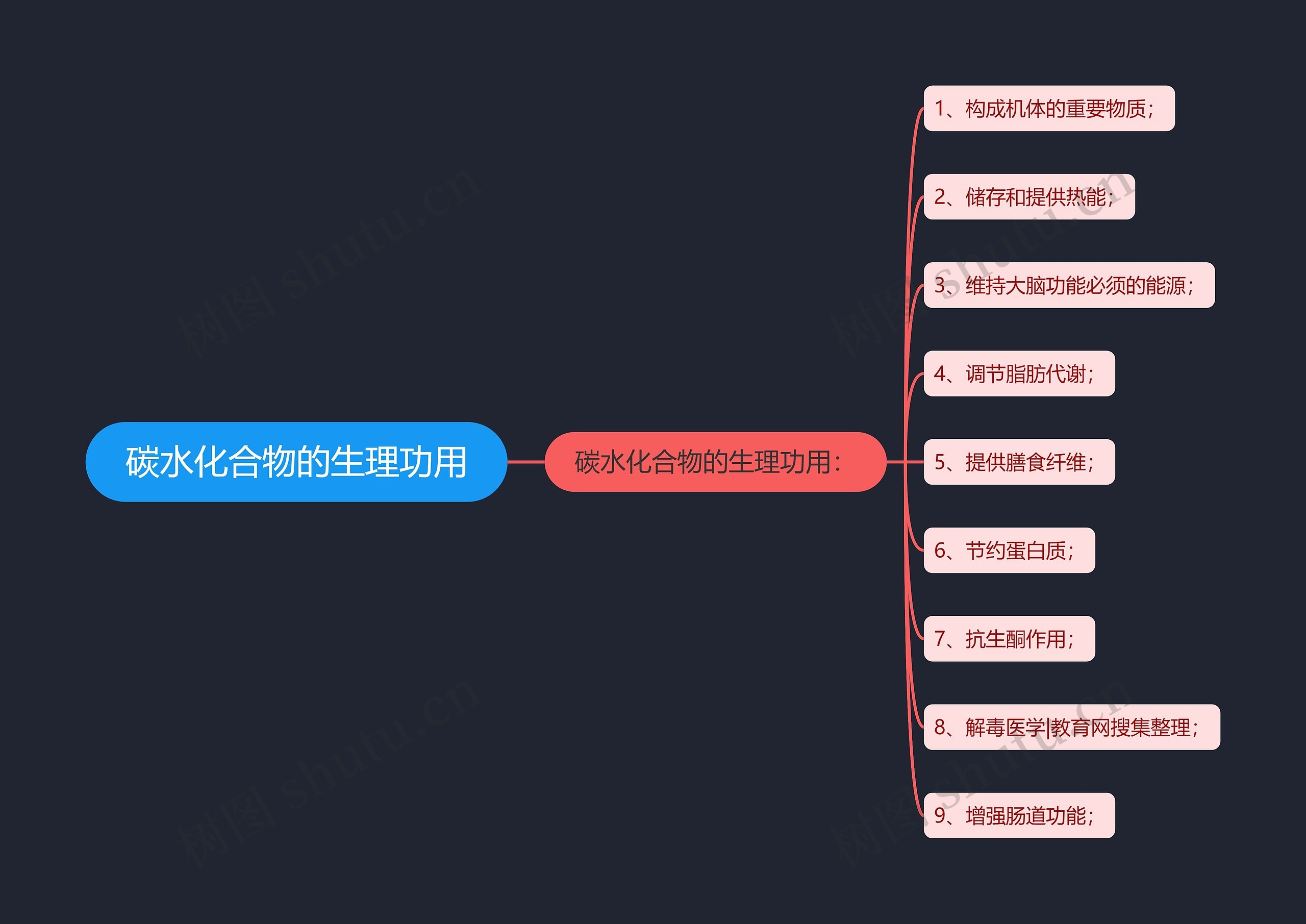 碳水化合物的生理功用思维导图