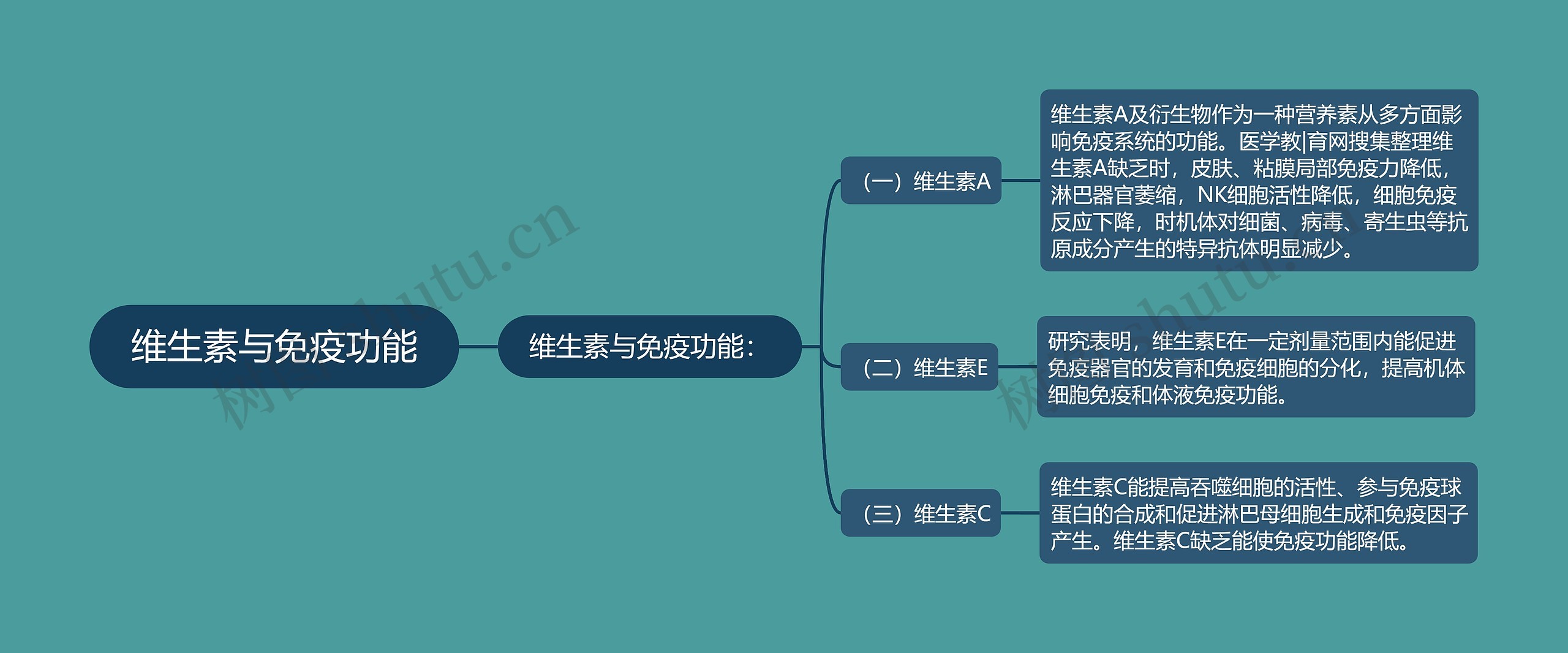 维生素与免疫功能