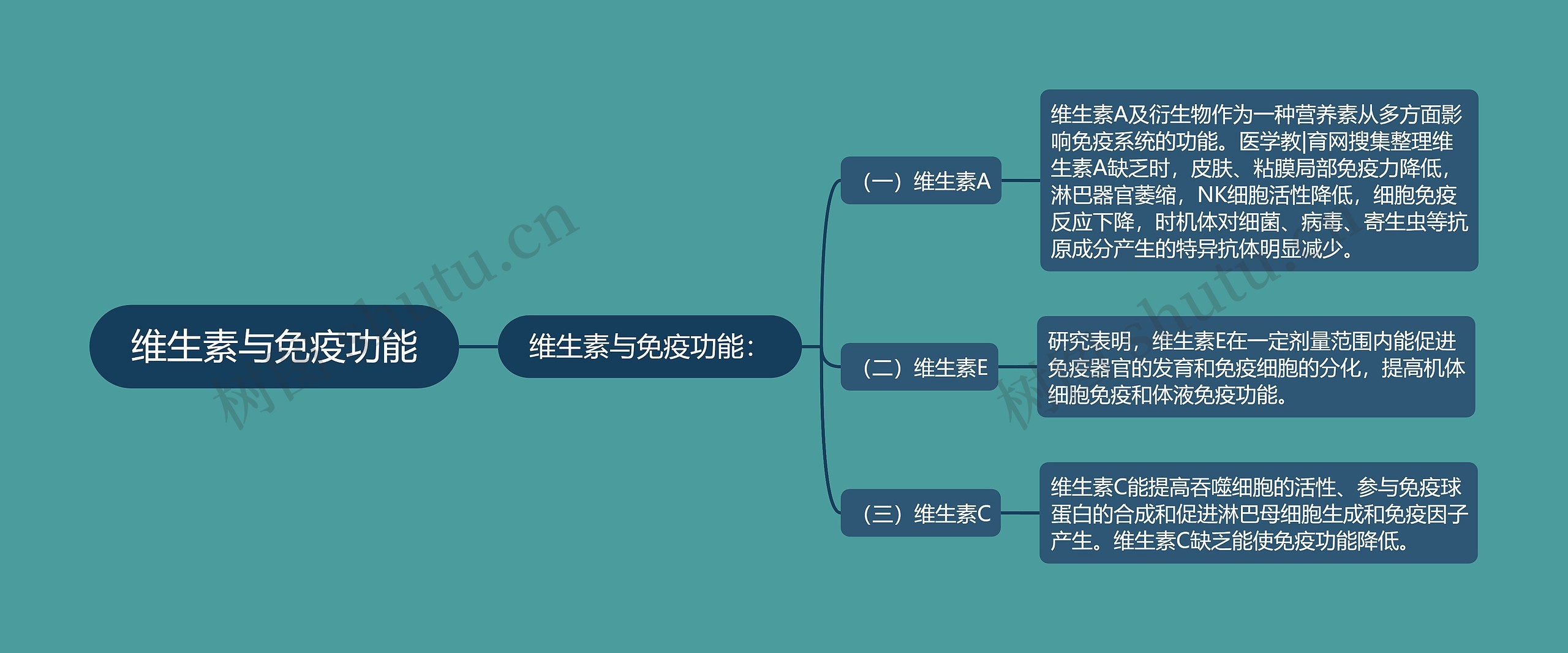 维生素与免疫功能思维导图