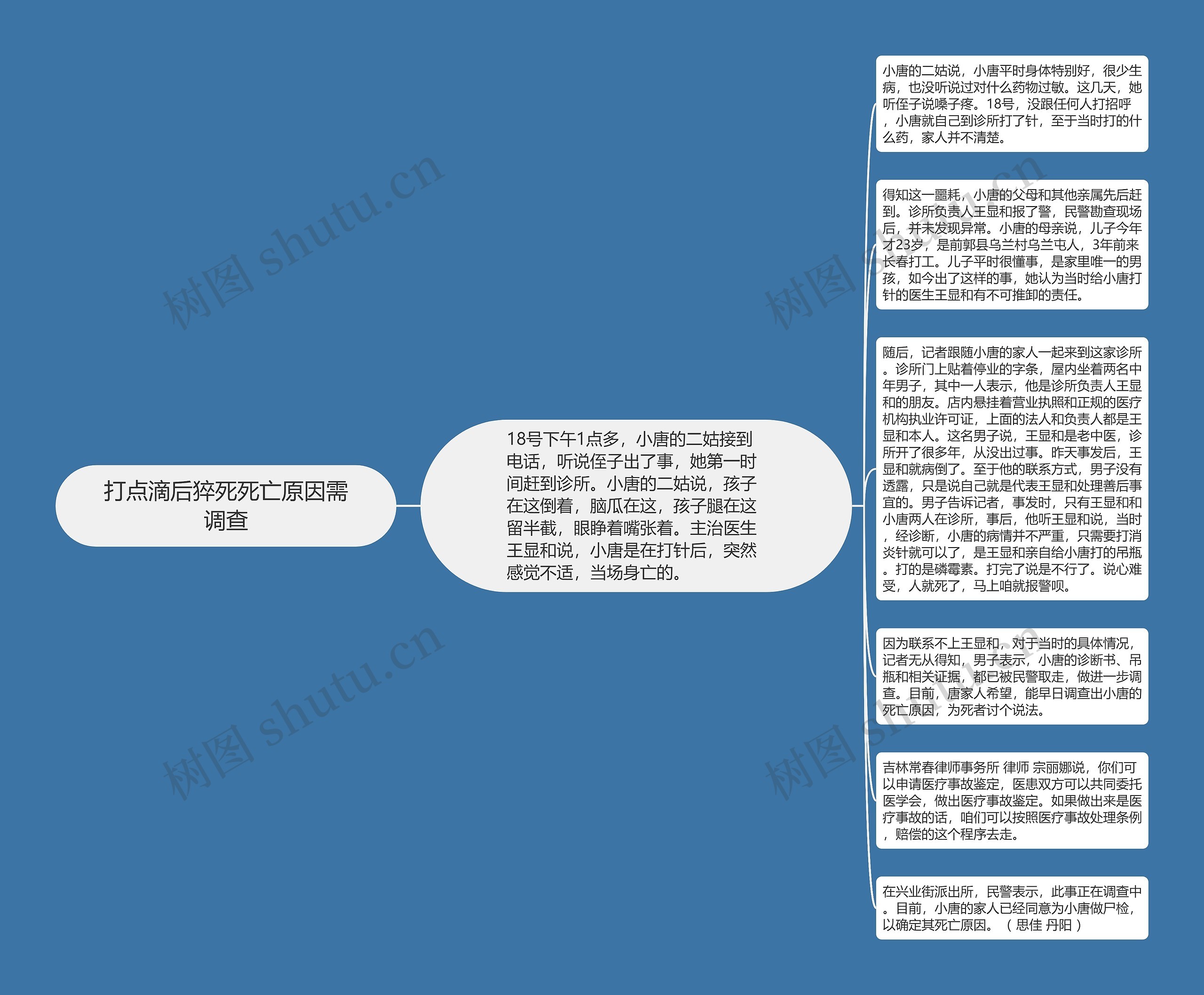 打点滴后猝死死亡原因需调查思维导图