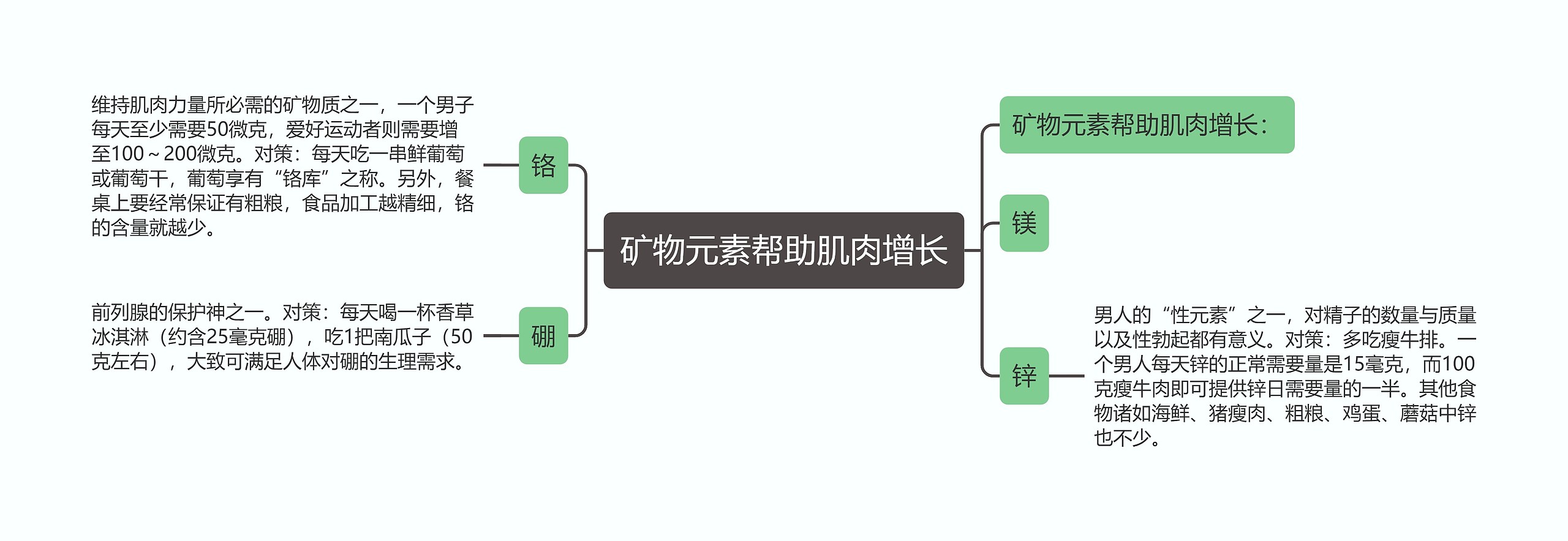 矿物元素帮助肌肉增长思维导图