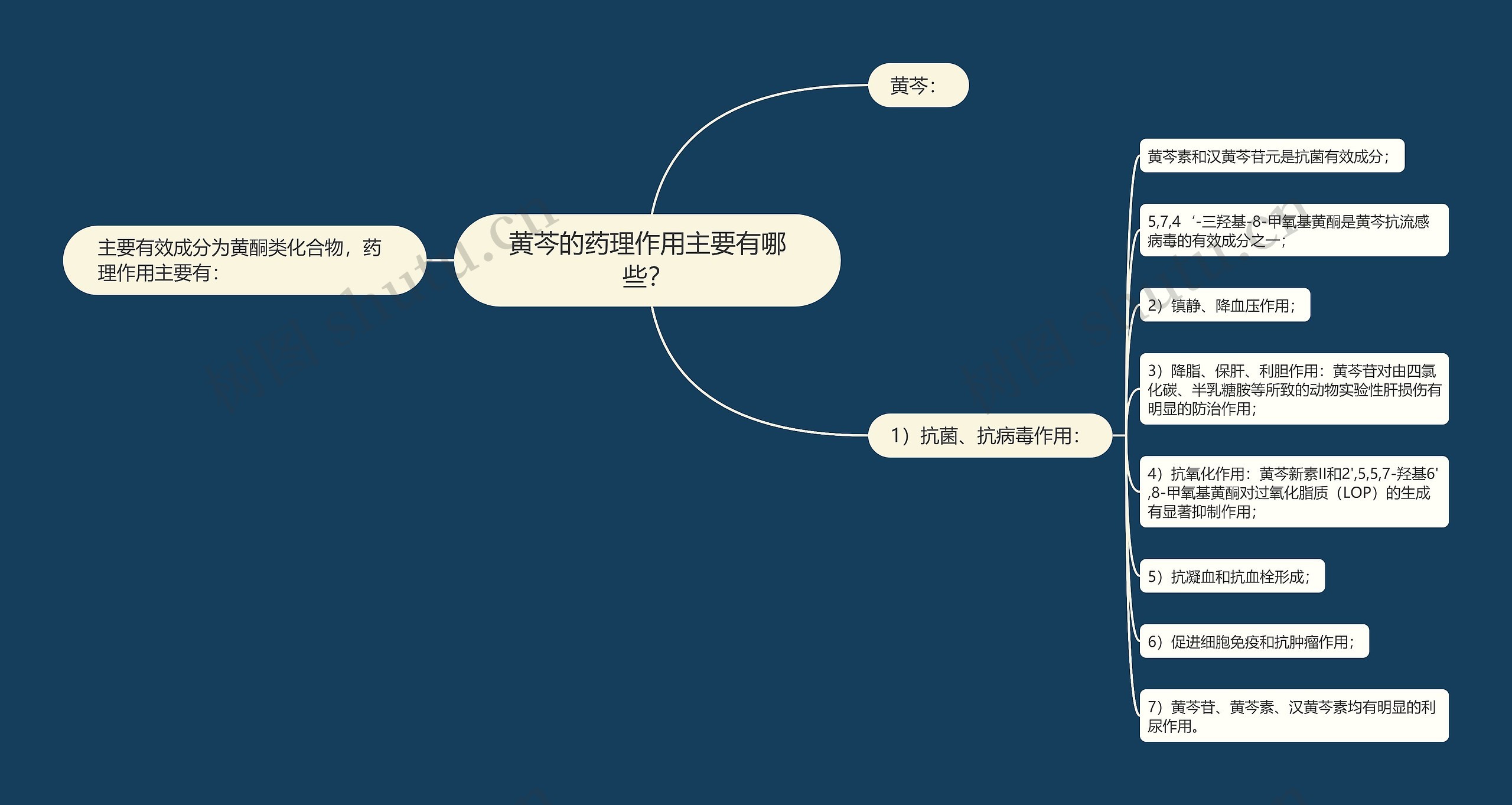 黄芩的药理作用主要有哪些？思维导图