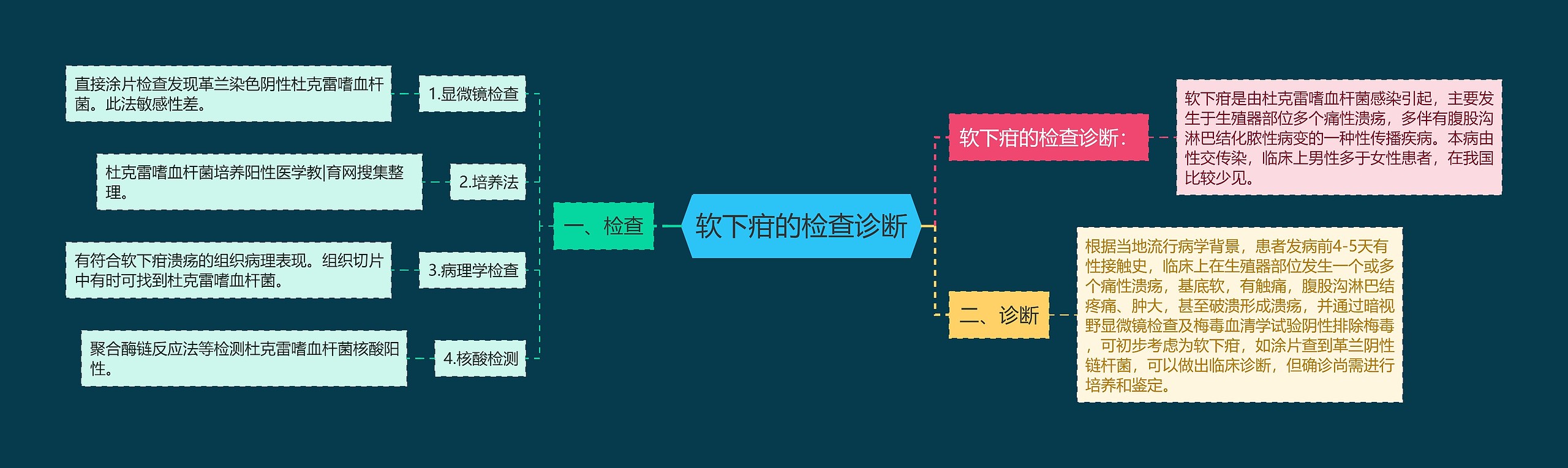 软下疳的检查诊断