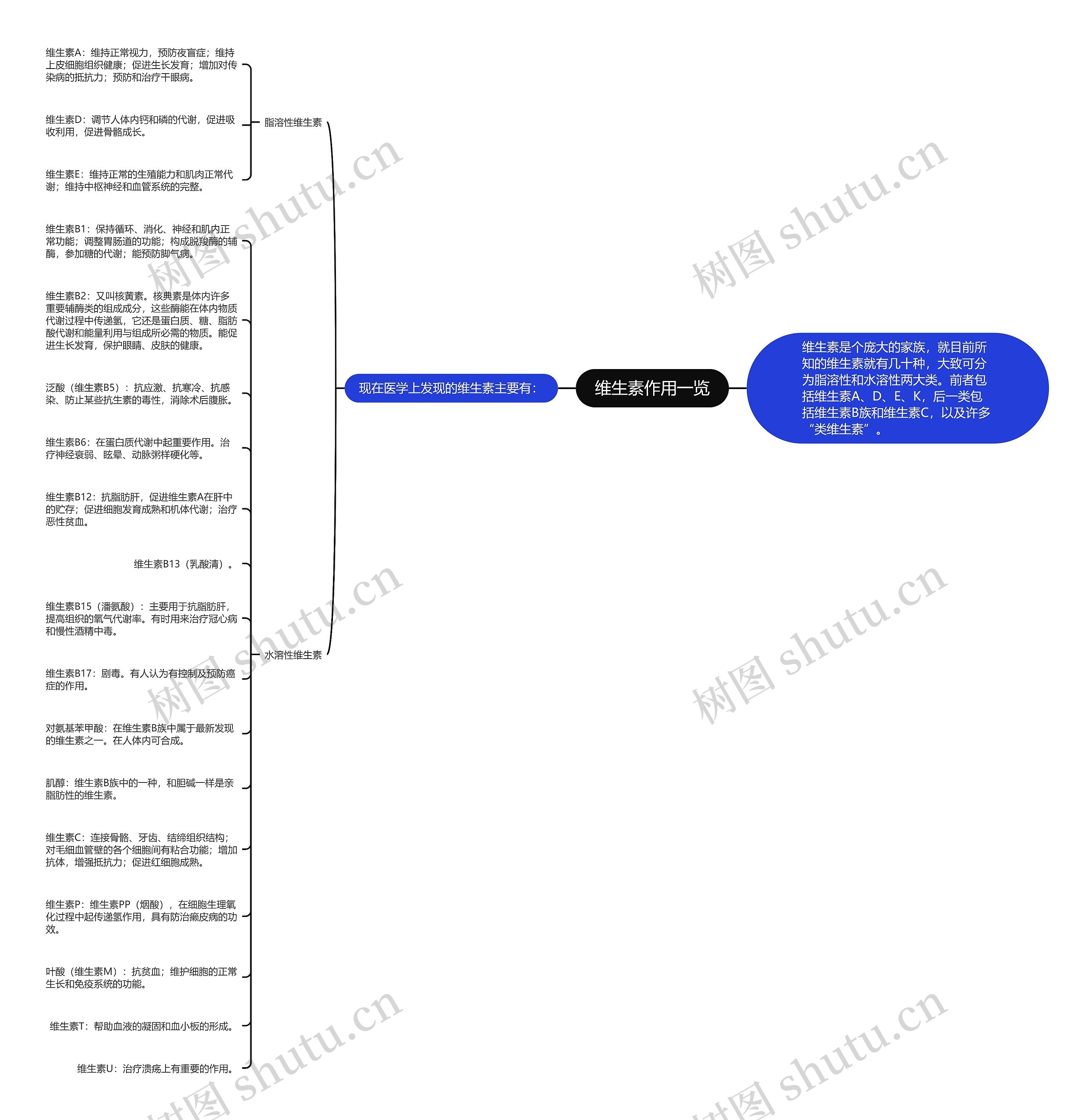 维生素作用一览思维导图