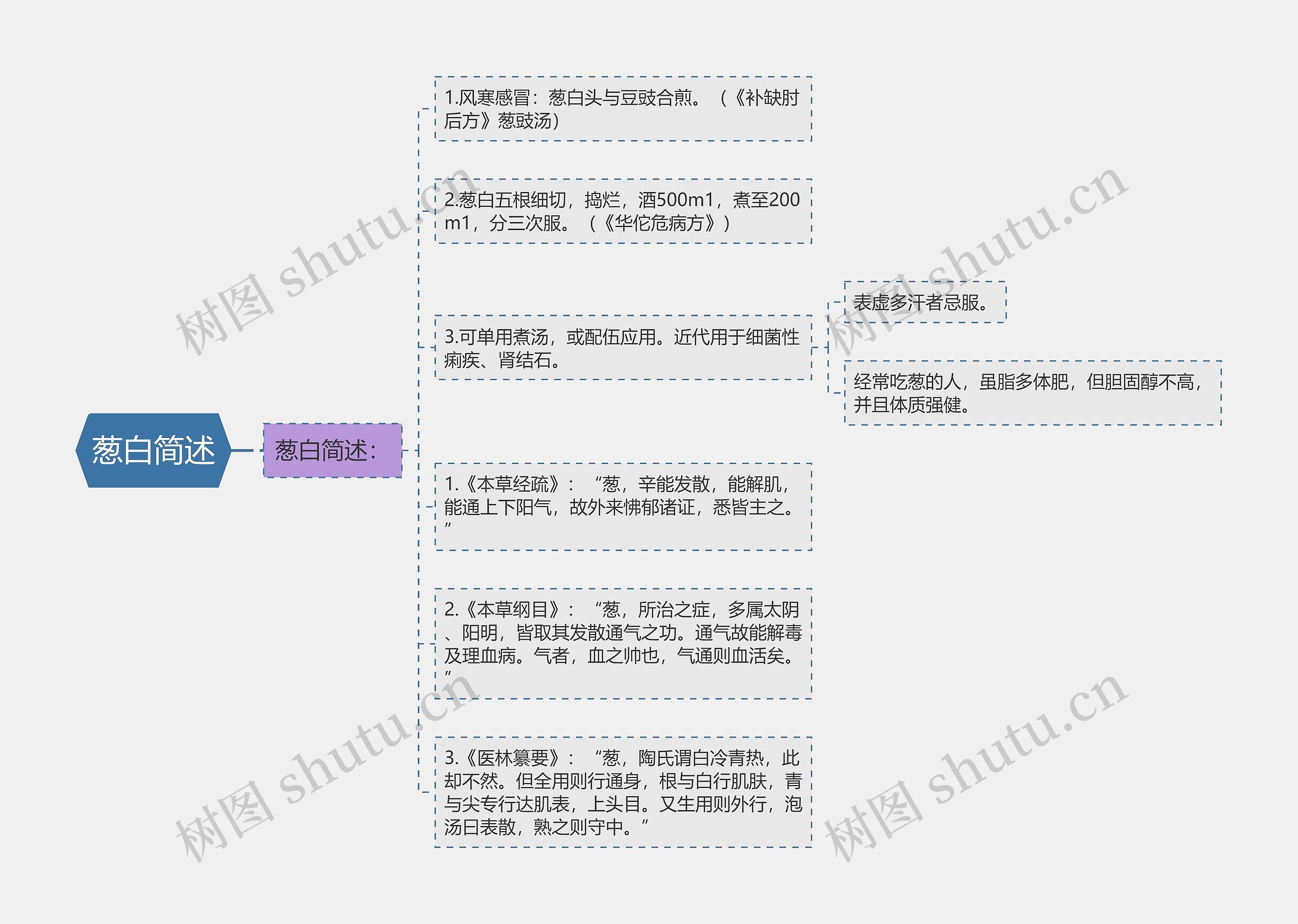 葱白简述思维导图高清图 葱白简述思维导图