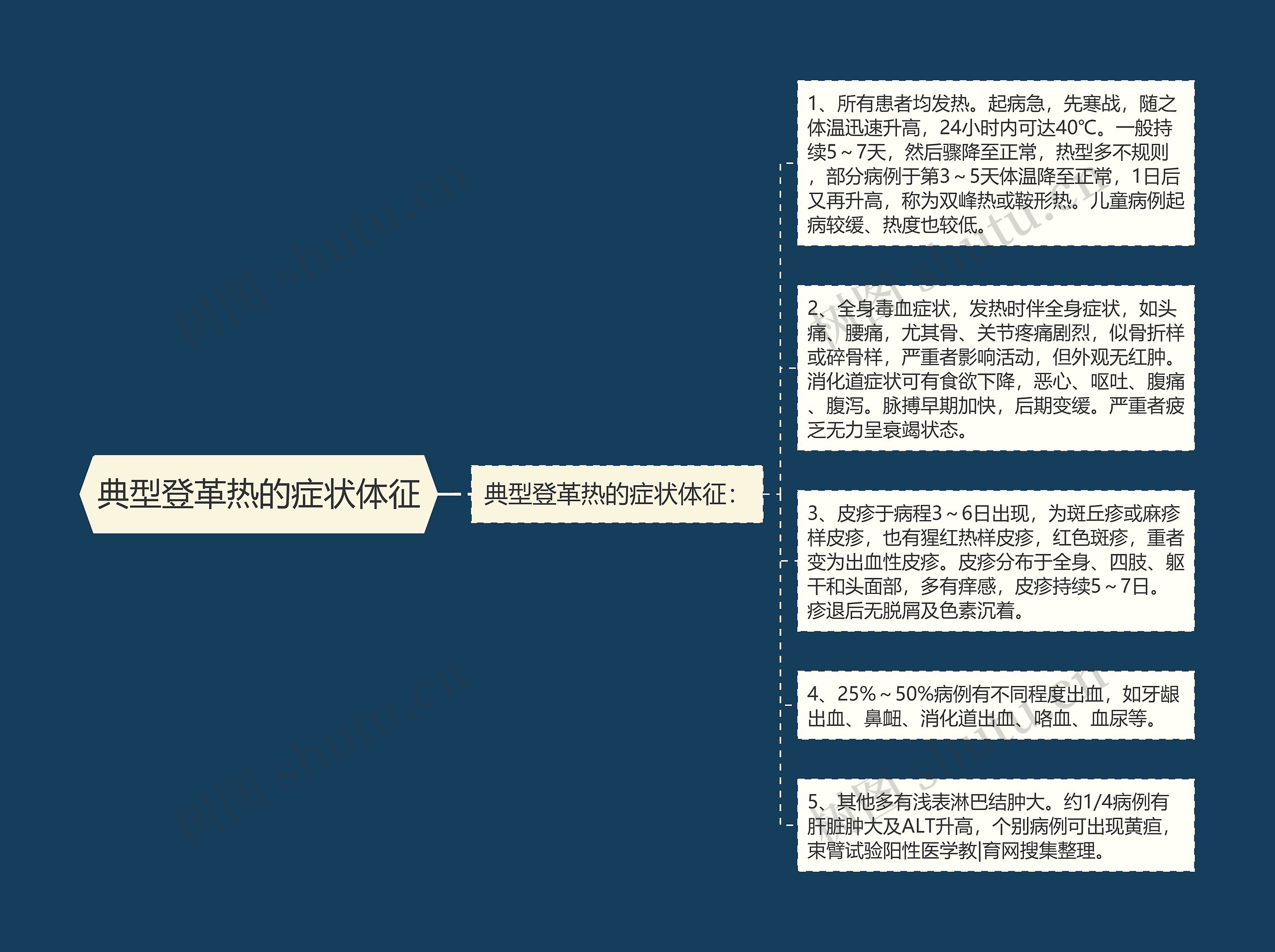 典型登革热的症状体征 典型登革热的症状体征