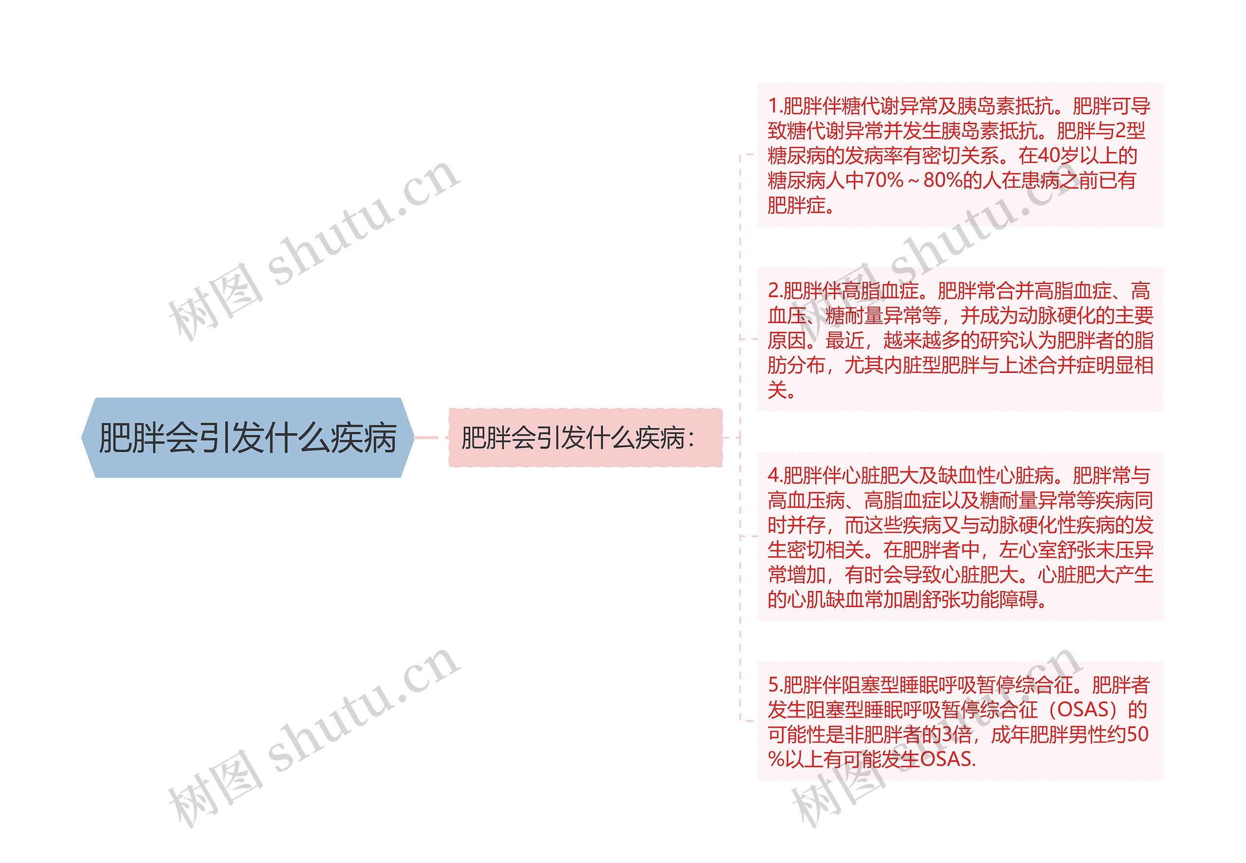 肥胖会引发什么疾病思维导图