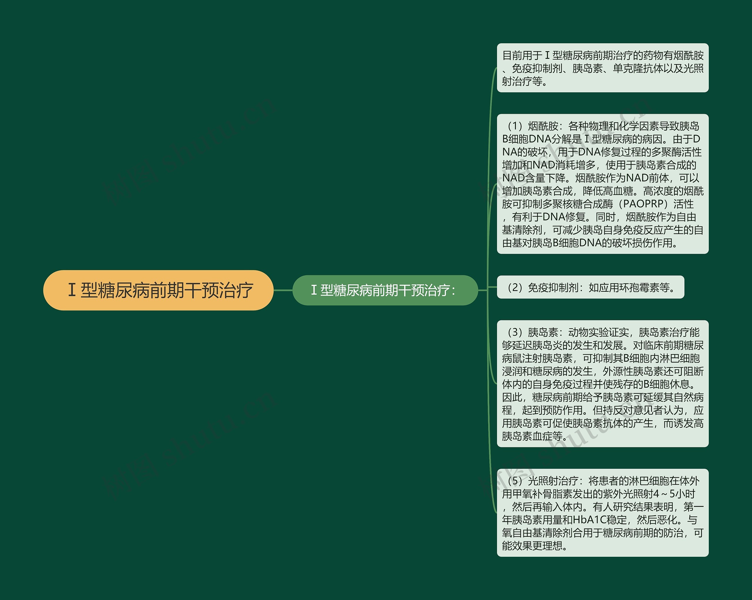 Ⅰ型糖尿病前期干预治疗