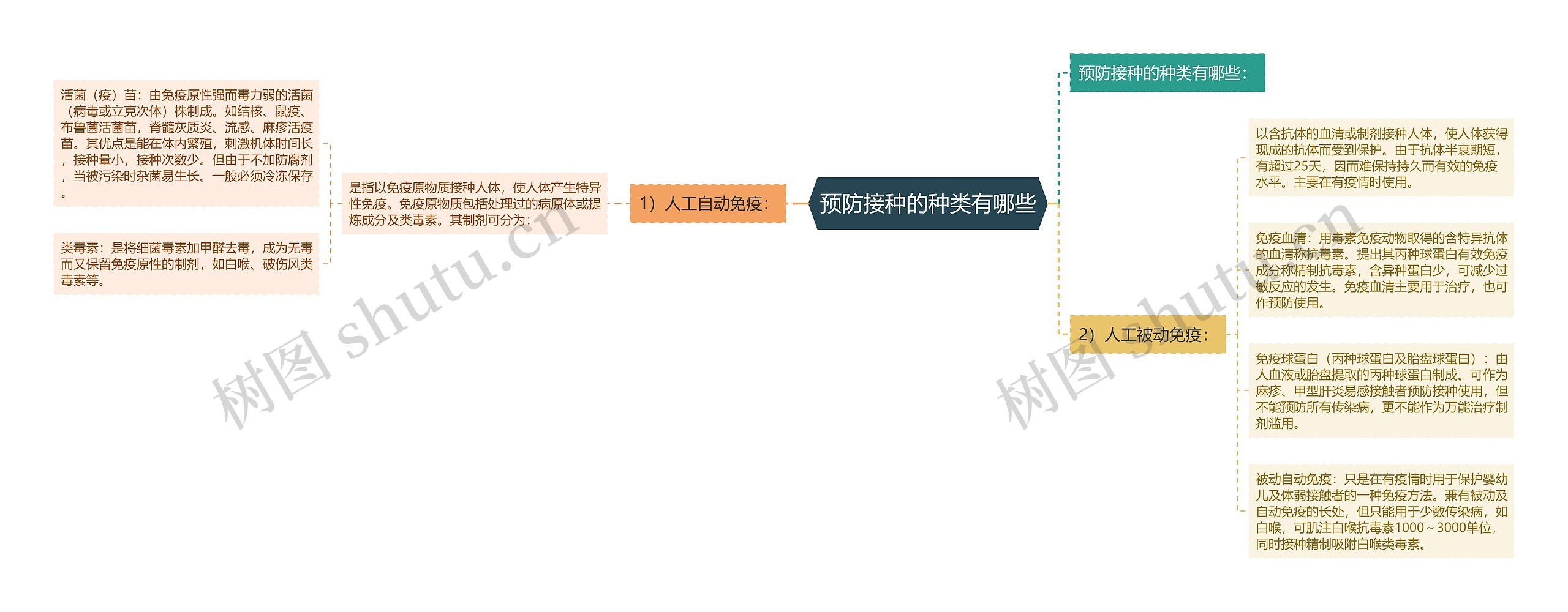 预防接种的种类有哪些思维导图