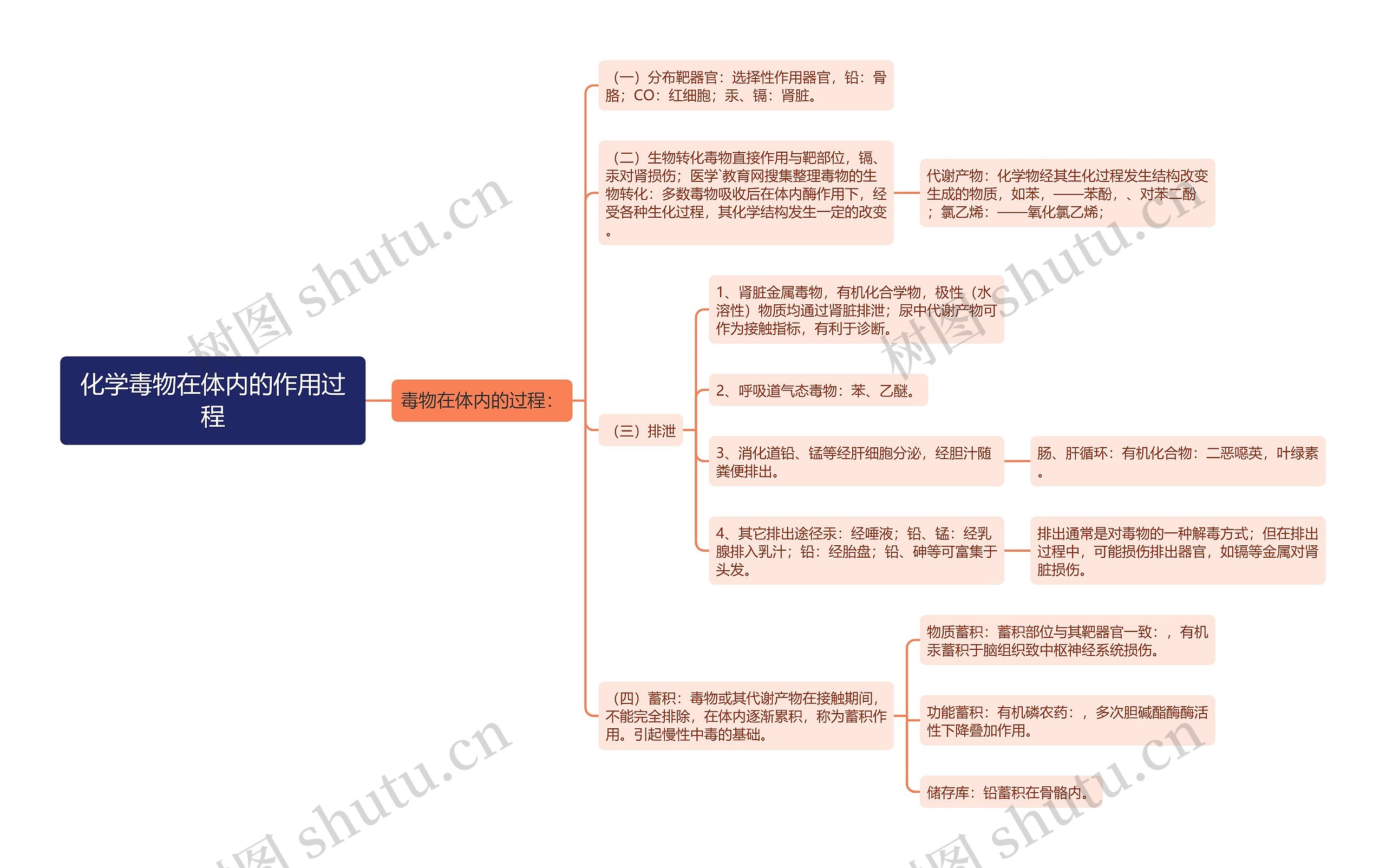 化学毒物在体内的作用过程