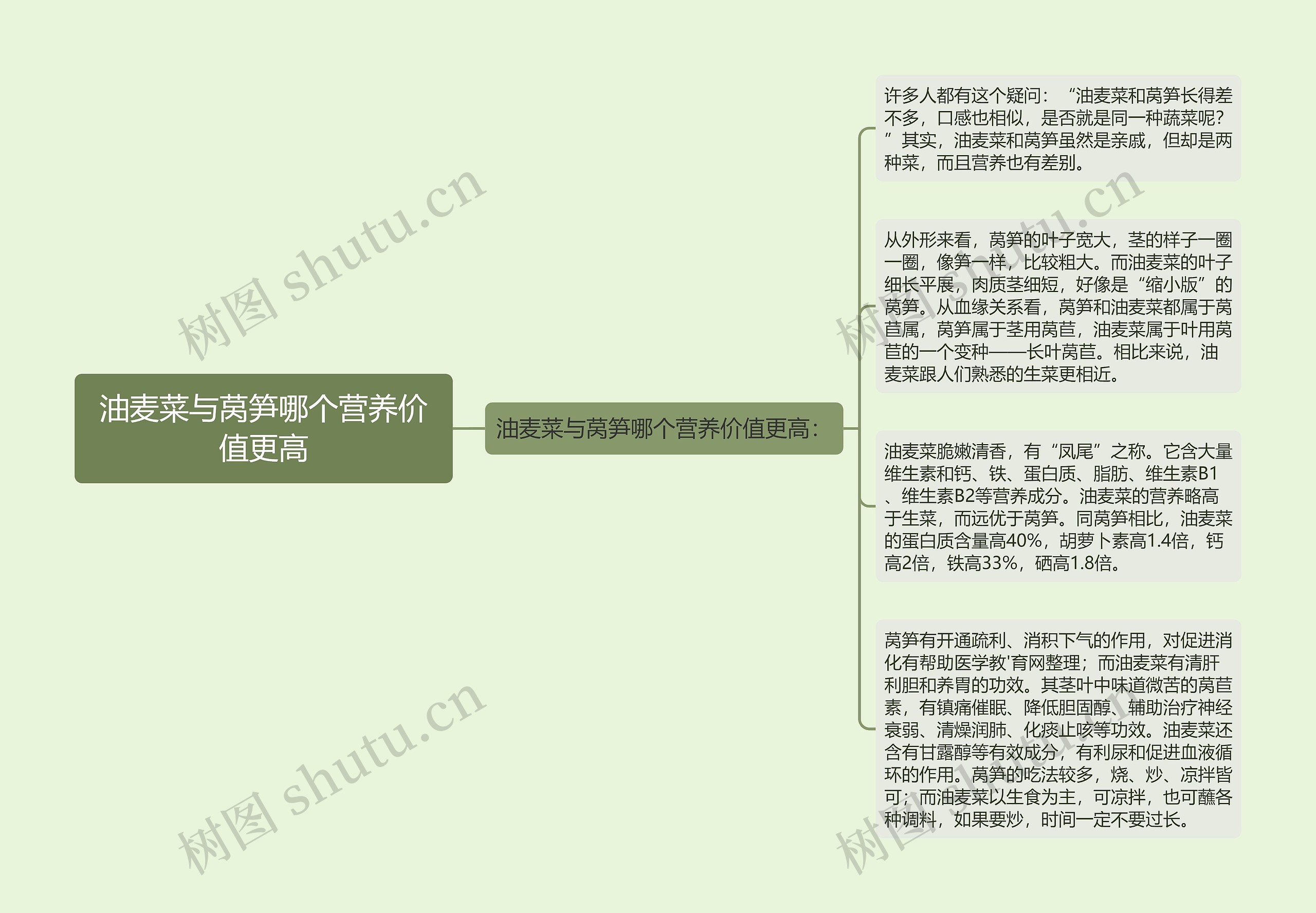 油麦菜与莴笋哪个营养价值更高