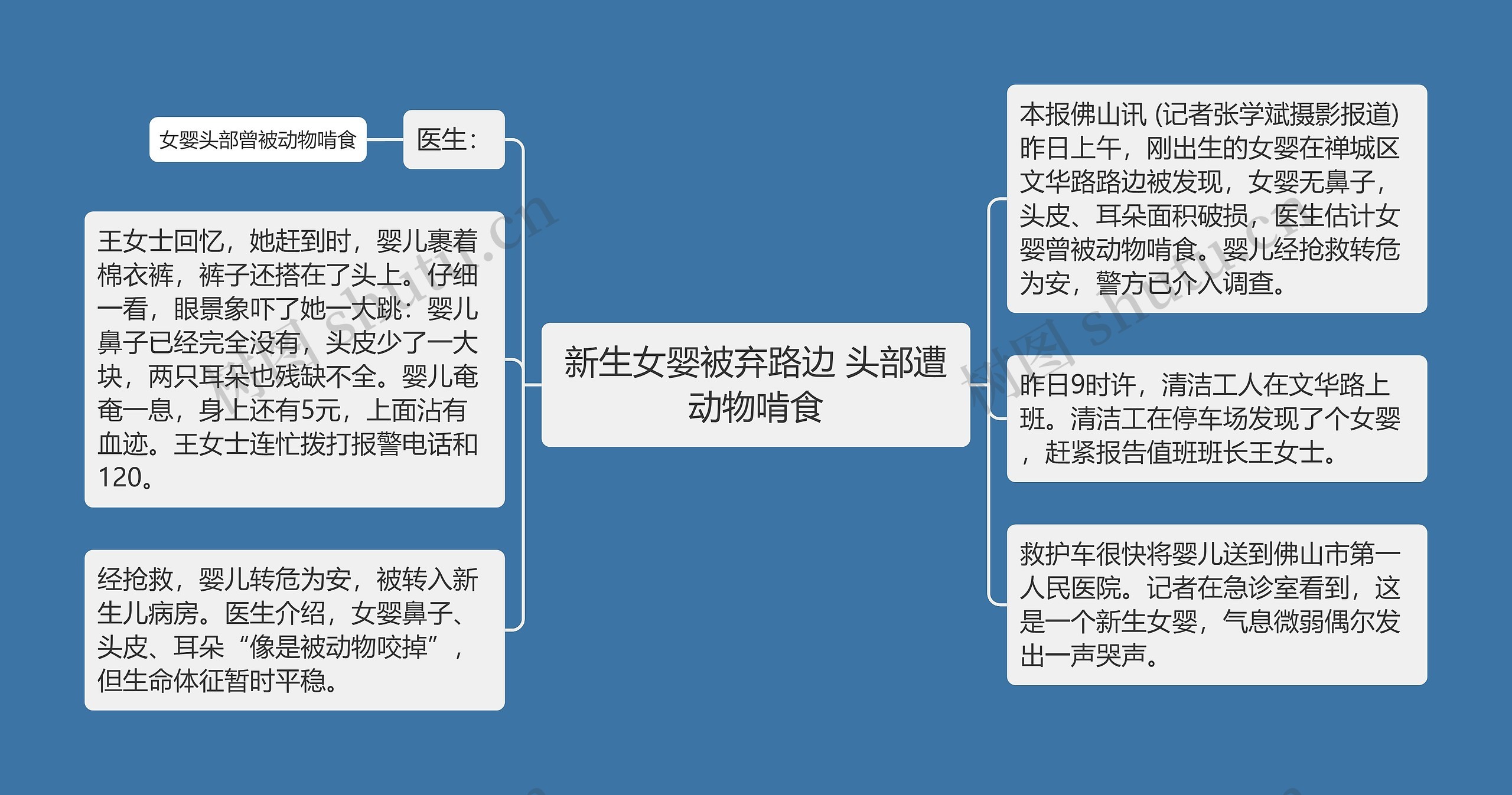 新生女婴被弃路边 头部遭动物啃食思维导图