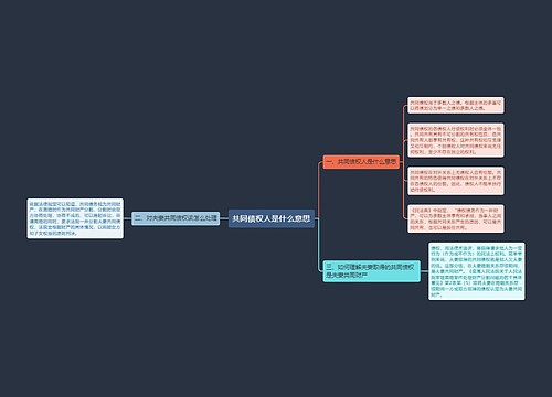共同债权人是什么意思