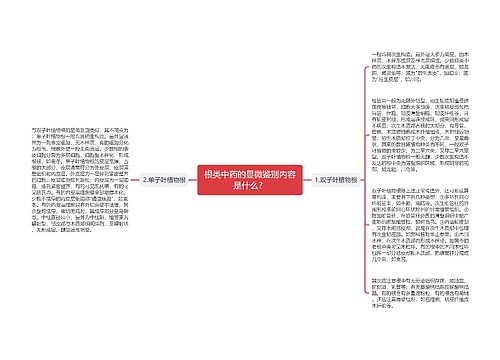 根类中药的显微鉴别内容是什么？