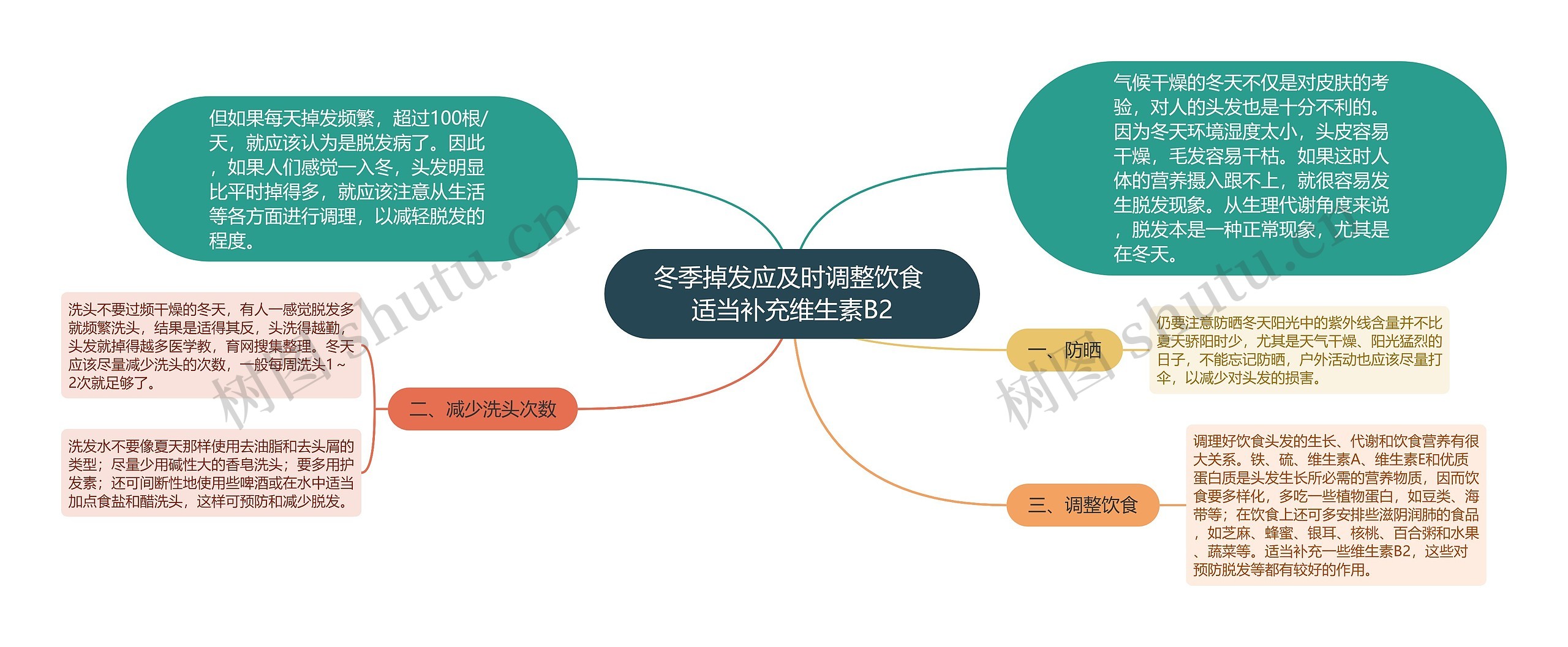 冬季掉发应及时调整饮食 适当补充维生素B2思维导图