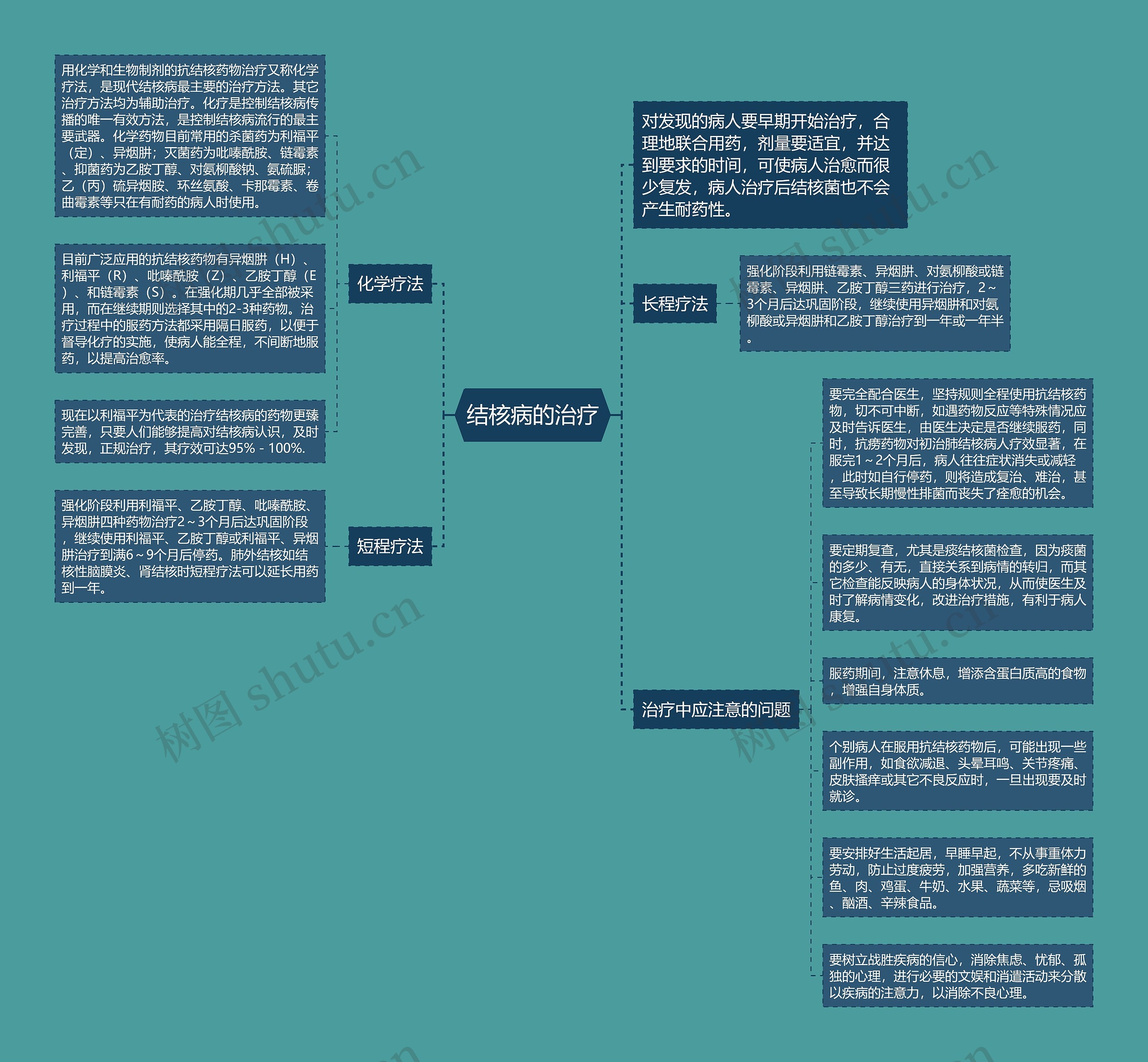结核病的治疗 结核病的治疗