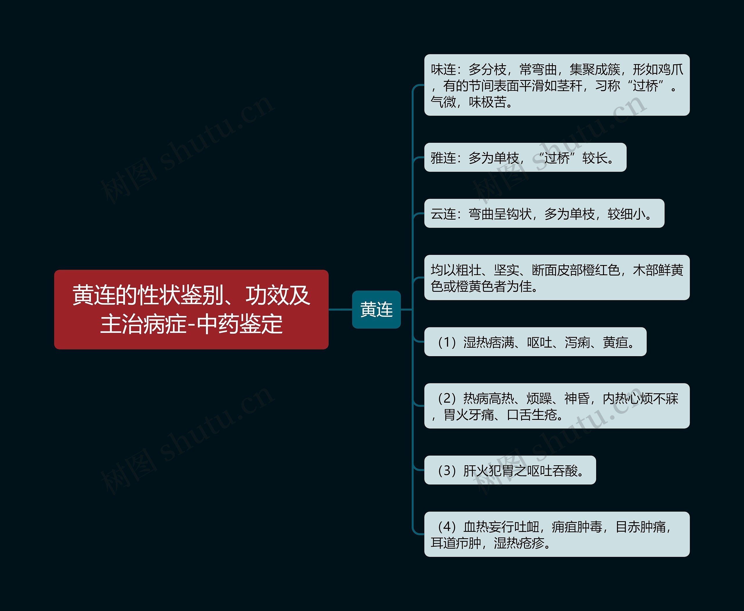 黄连的性状鉴别、功效及主治病症-中药鉴定思维导图