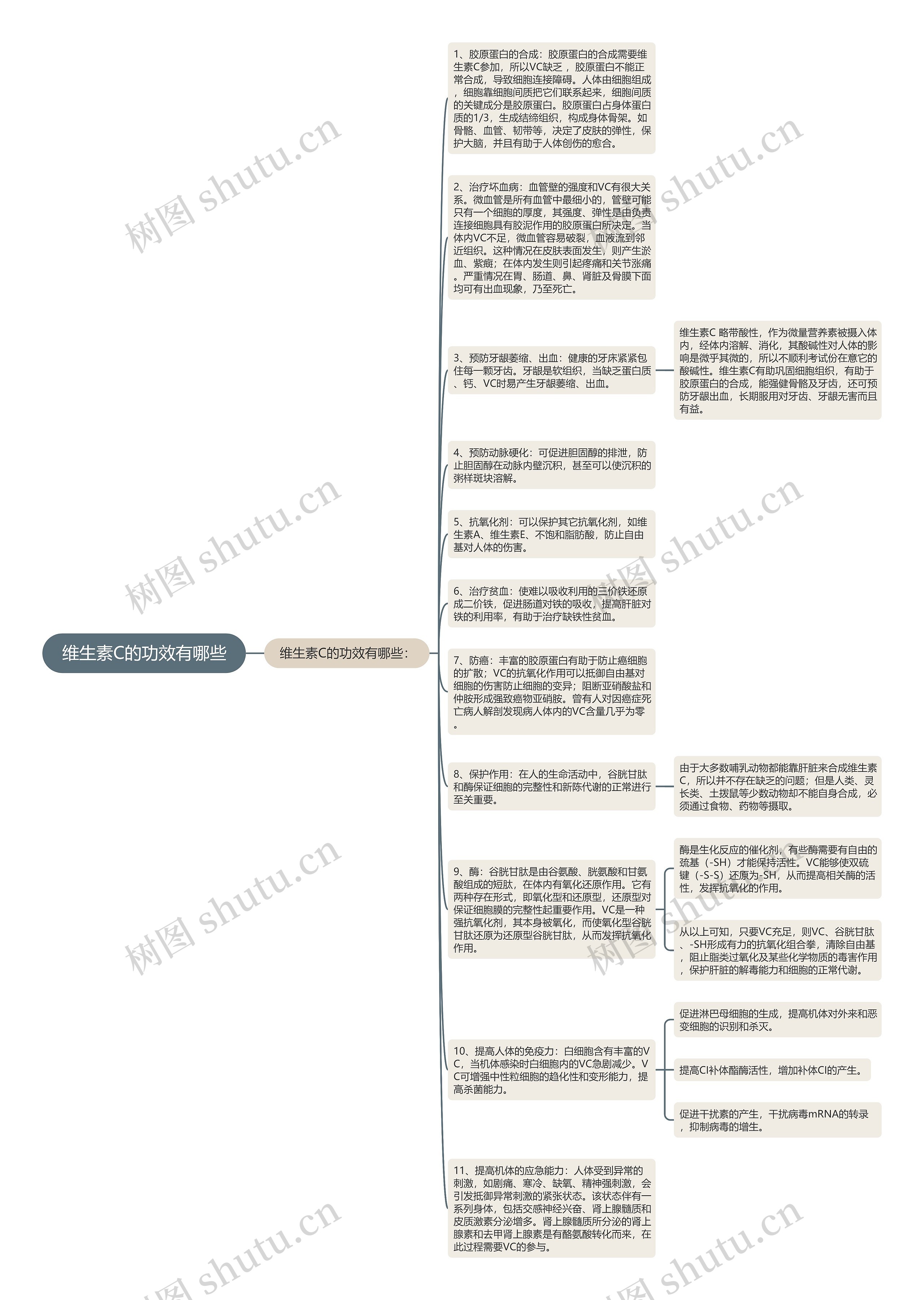 维生素C的功效有哪些思维导图