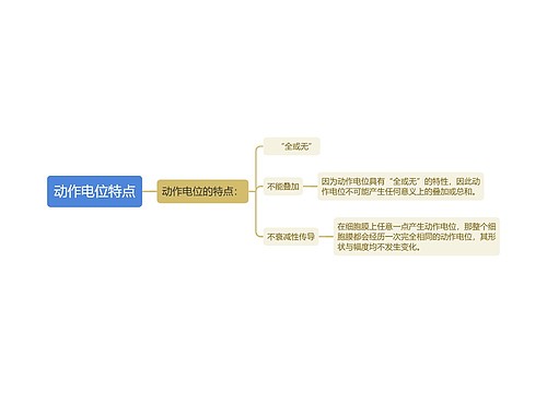 动作电位特点