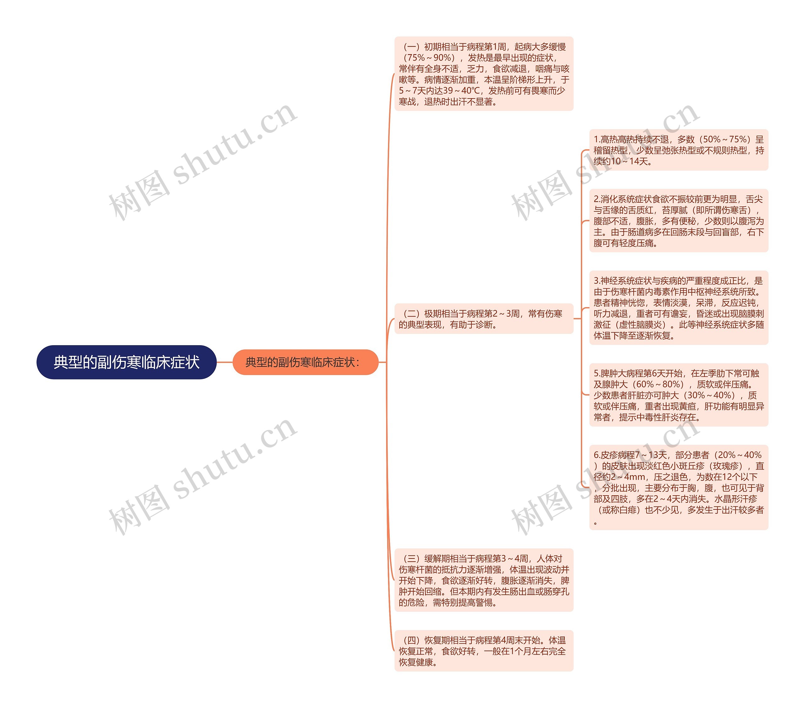 典型的副伤寒临床症状 典型的副伤寒临床症状