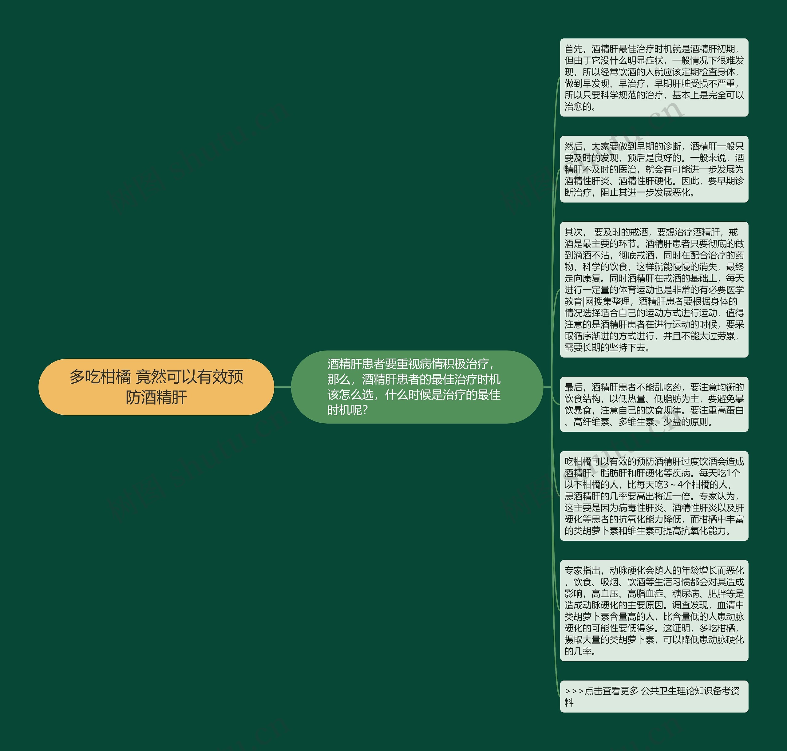 多吃柑橘 竟然可以有效预防酒精肝思维导图