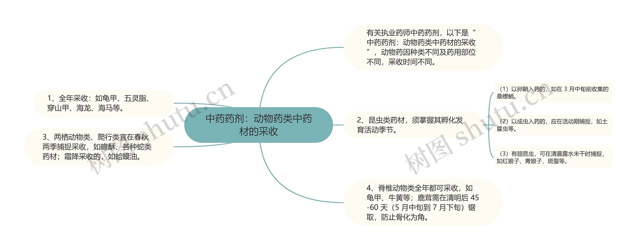 中药药剂：动物药类中药材的采收思维导图