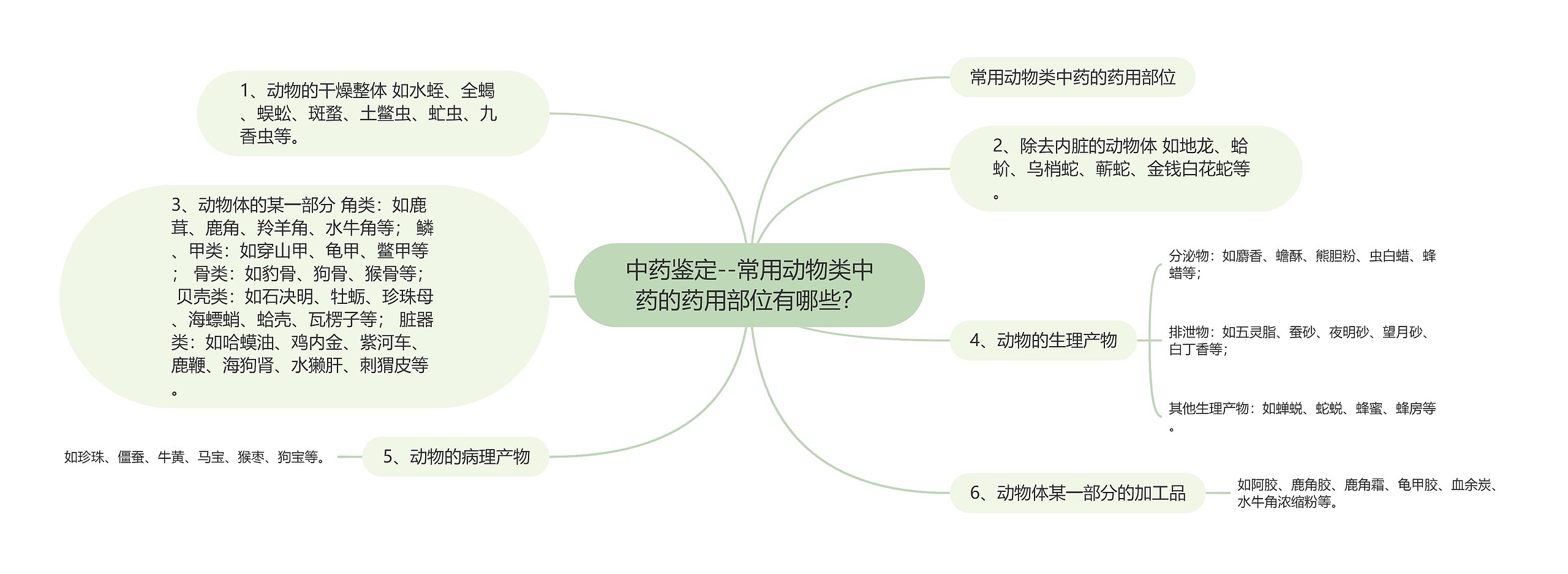 中药鉴定--常用动物类中药的药用部位有哪些？