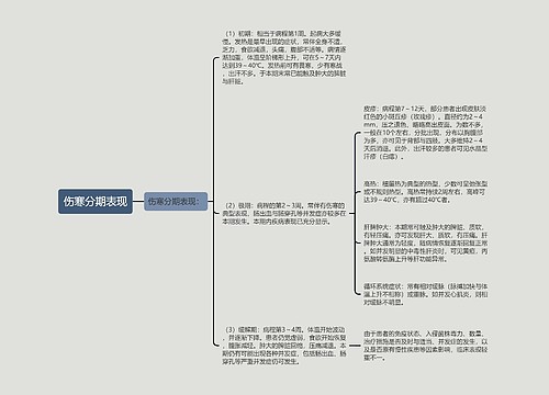 伤寒分期表现