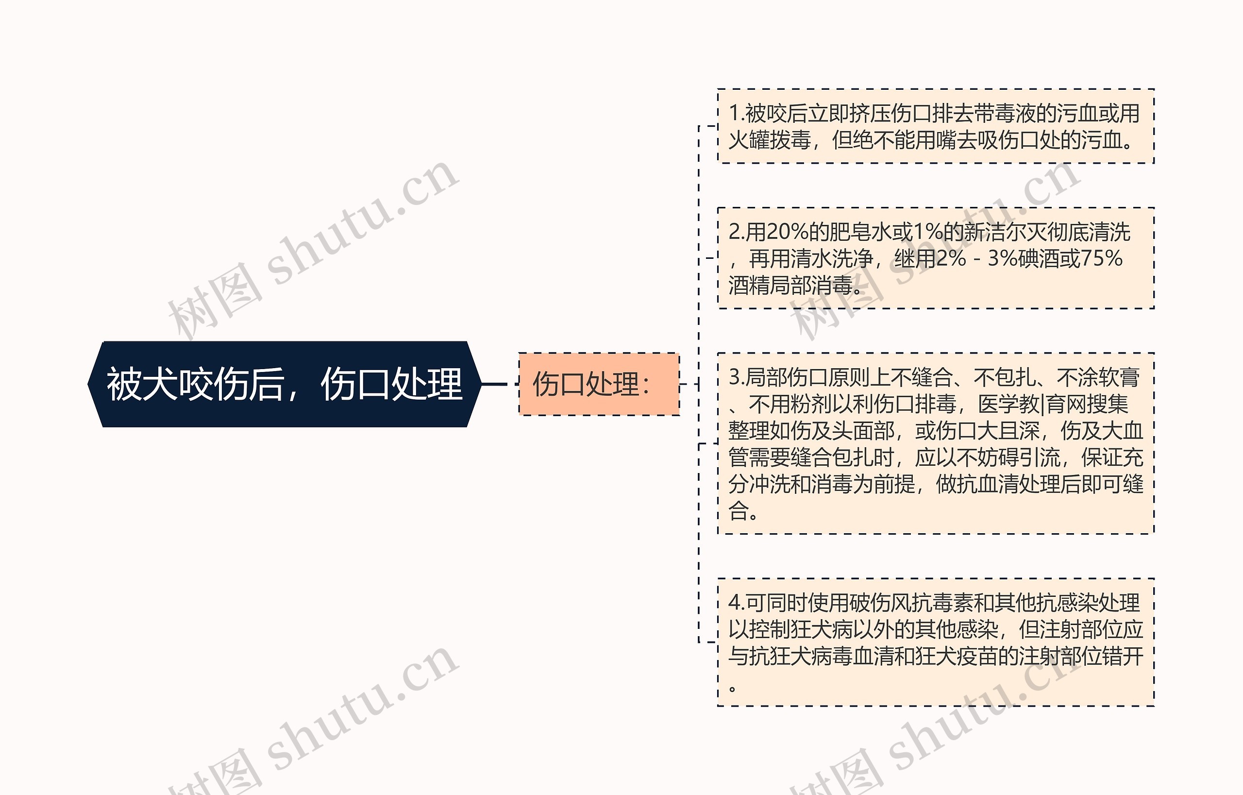 被犬咬伤后，伤口处理思维导图