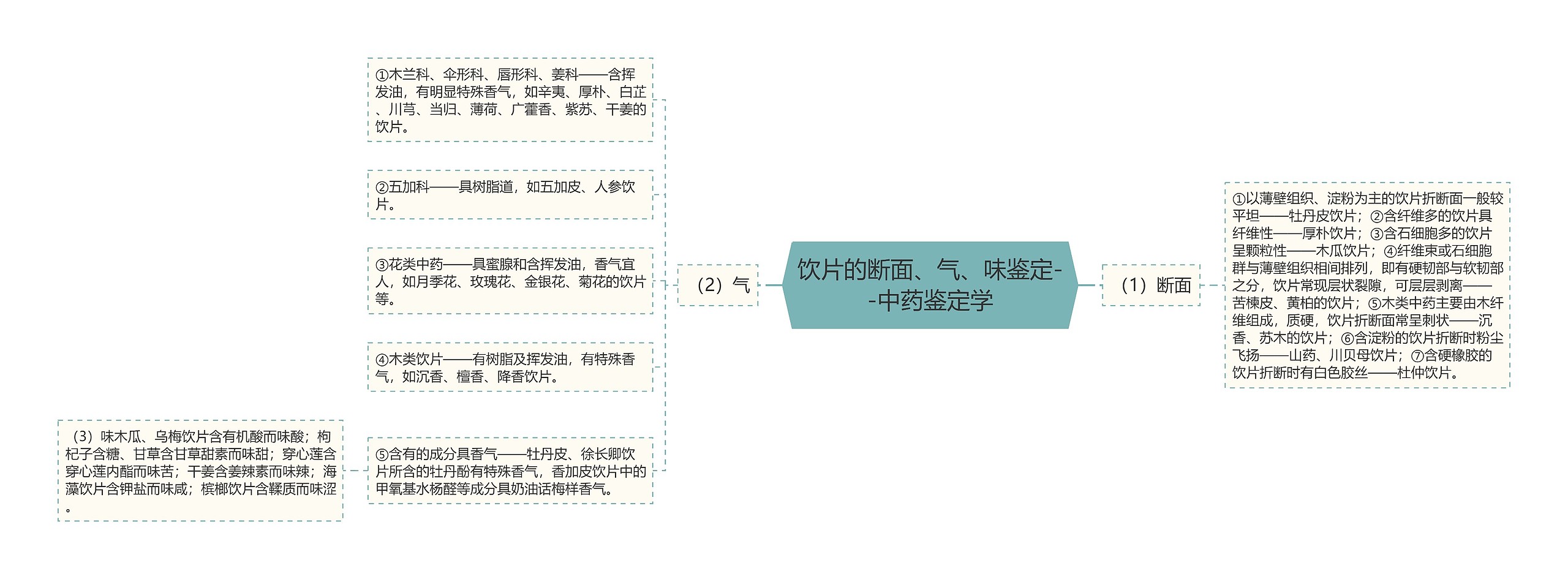 ​饮片的断面、气、味鉴定--中药鉴定学思维导图