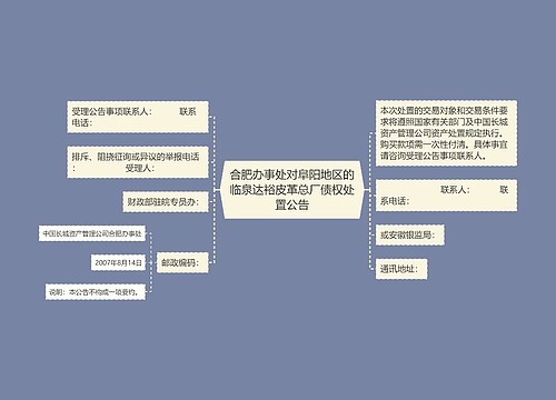 合肥办事处对阜阳地区的临泉达裕皮革总厂债权处置公告