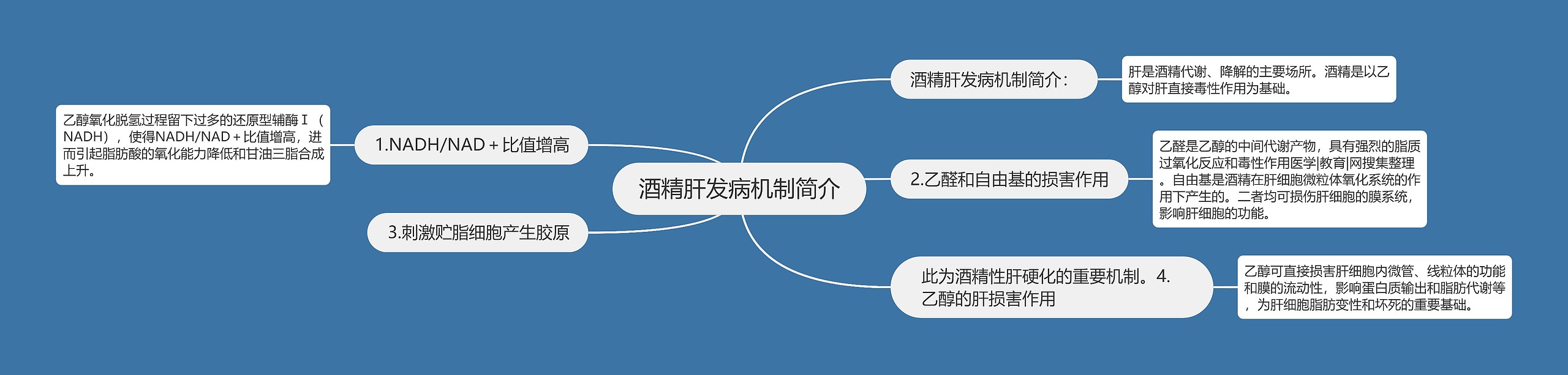 酒精肝发病机制简介思维导图