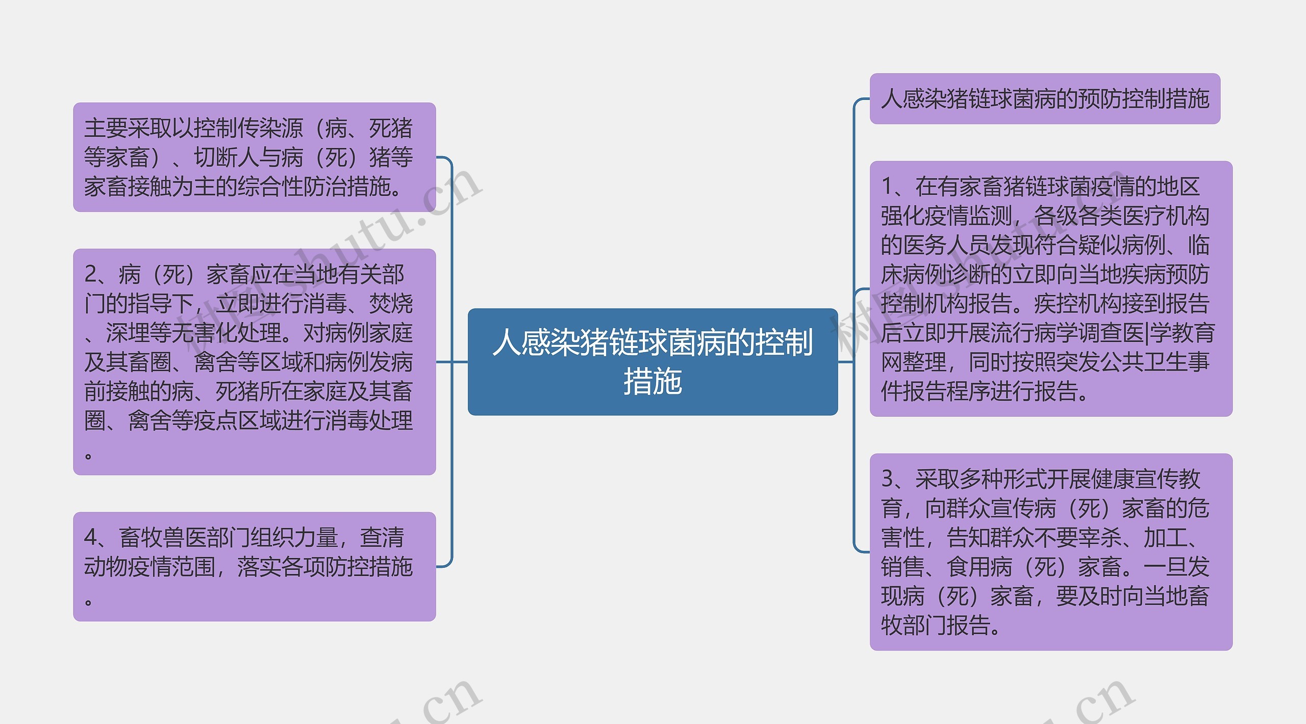 人感染猪链球菌病的控制措施思维导图