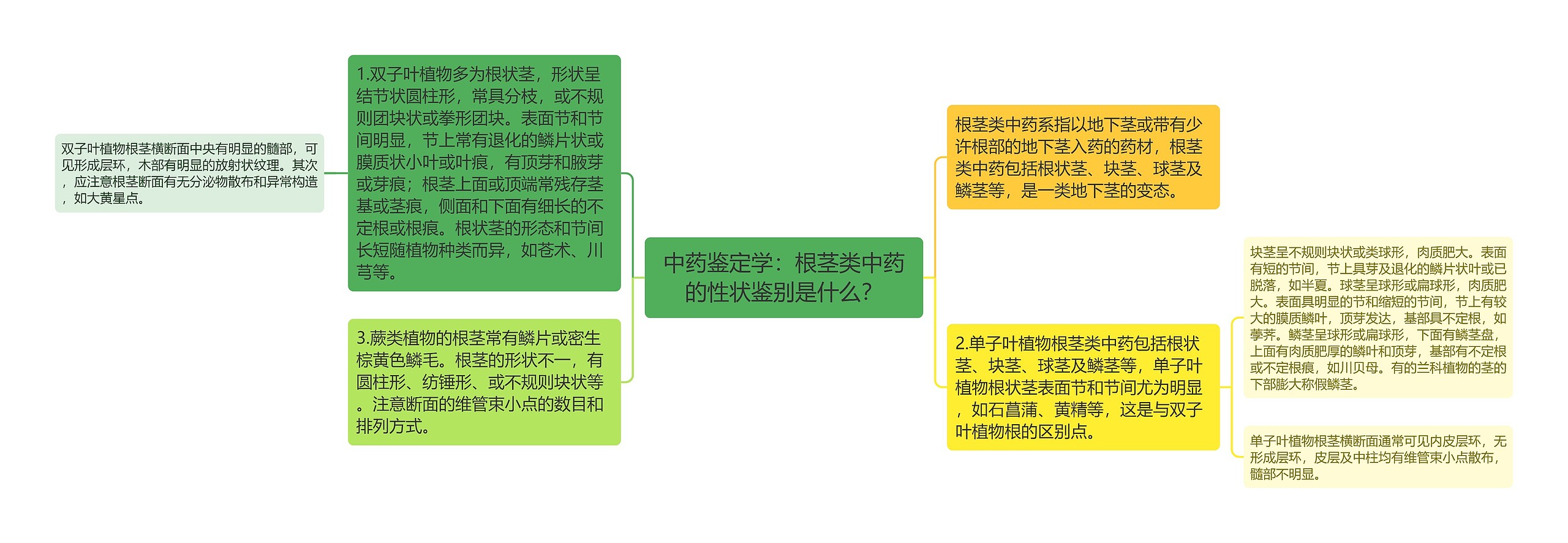 中药鉴定学：根茎类中药的性状鉴别是什么？思维导图