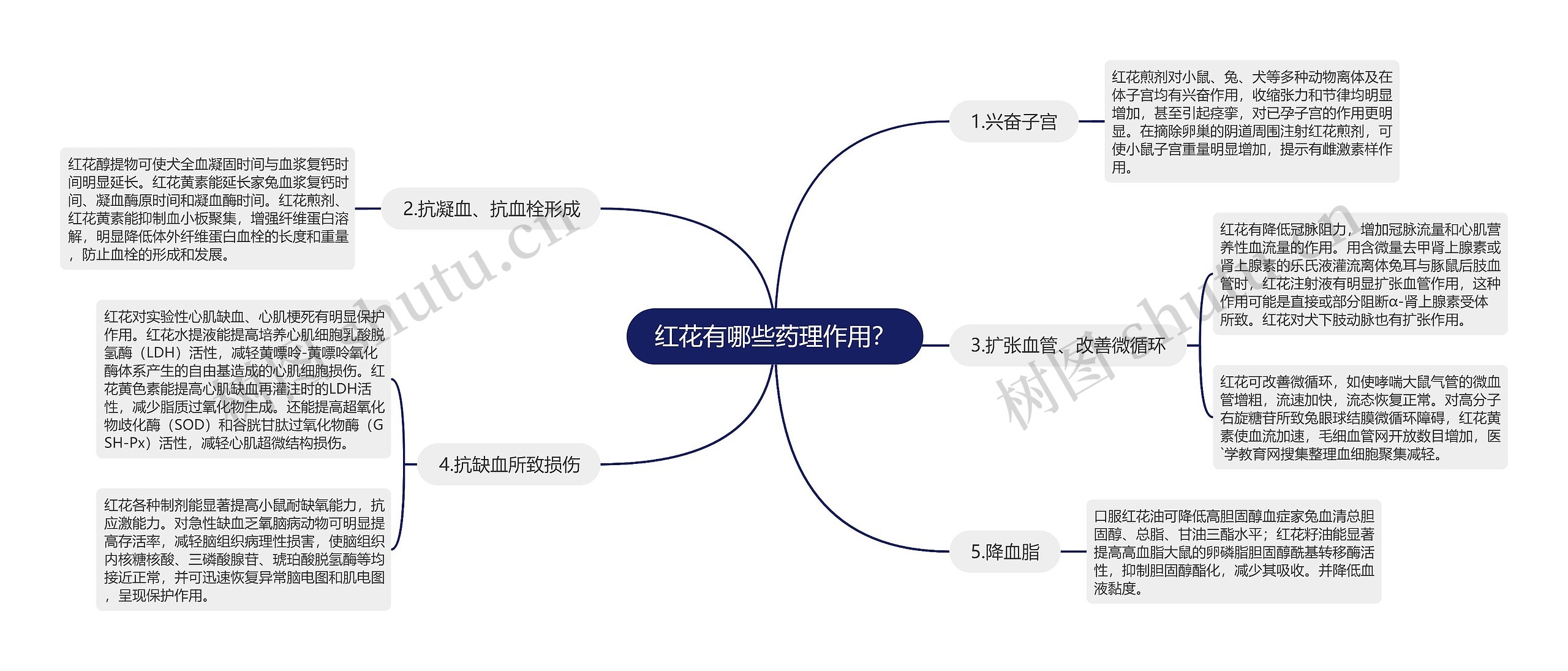 红花有哪些药理作用？思维导图