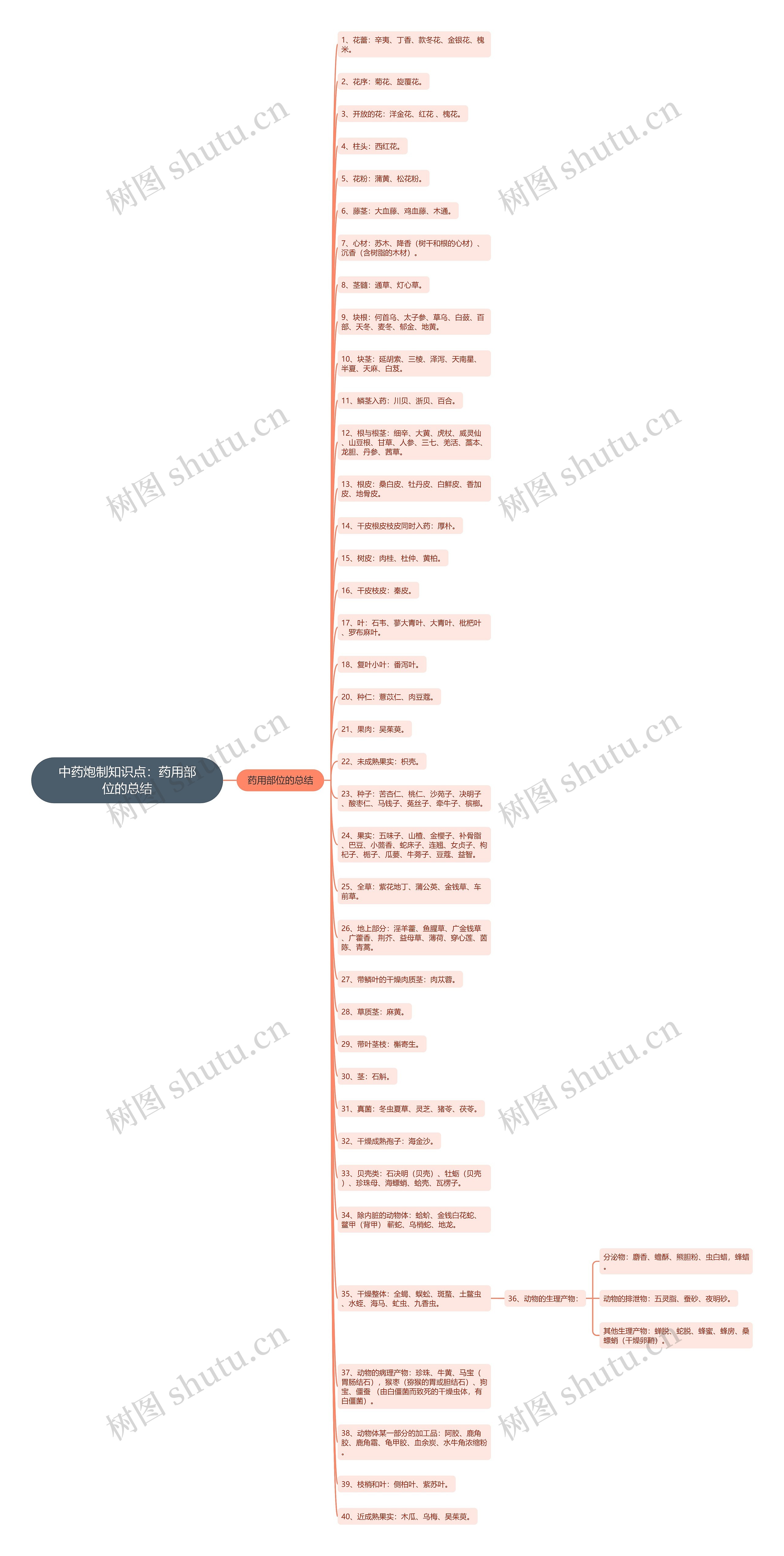 中药炮制知识点：药用部位的总结思维导图