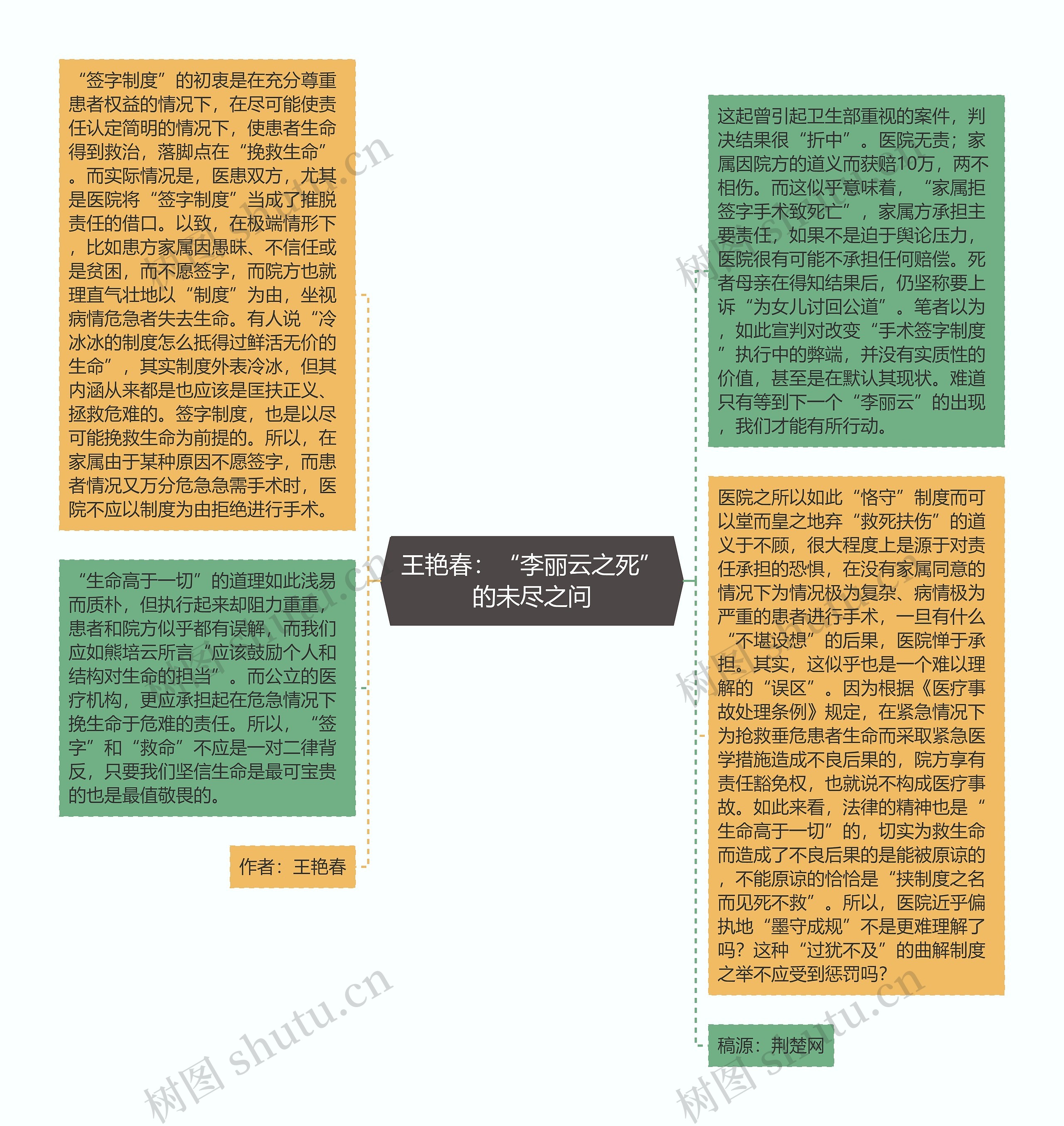 王艳春：“李丽云之死”的未尽之问思维导图