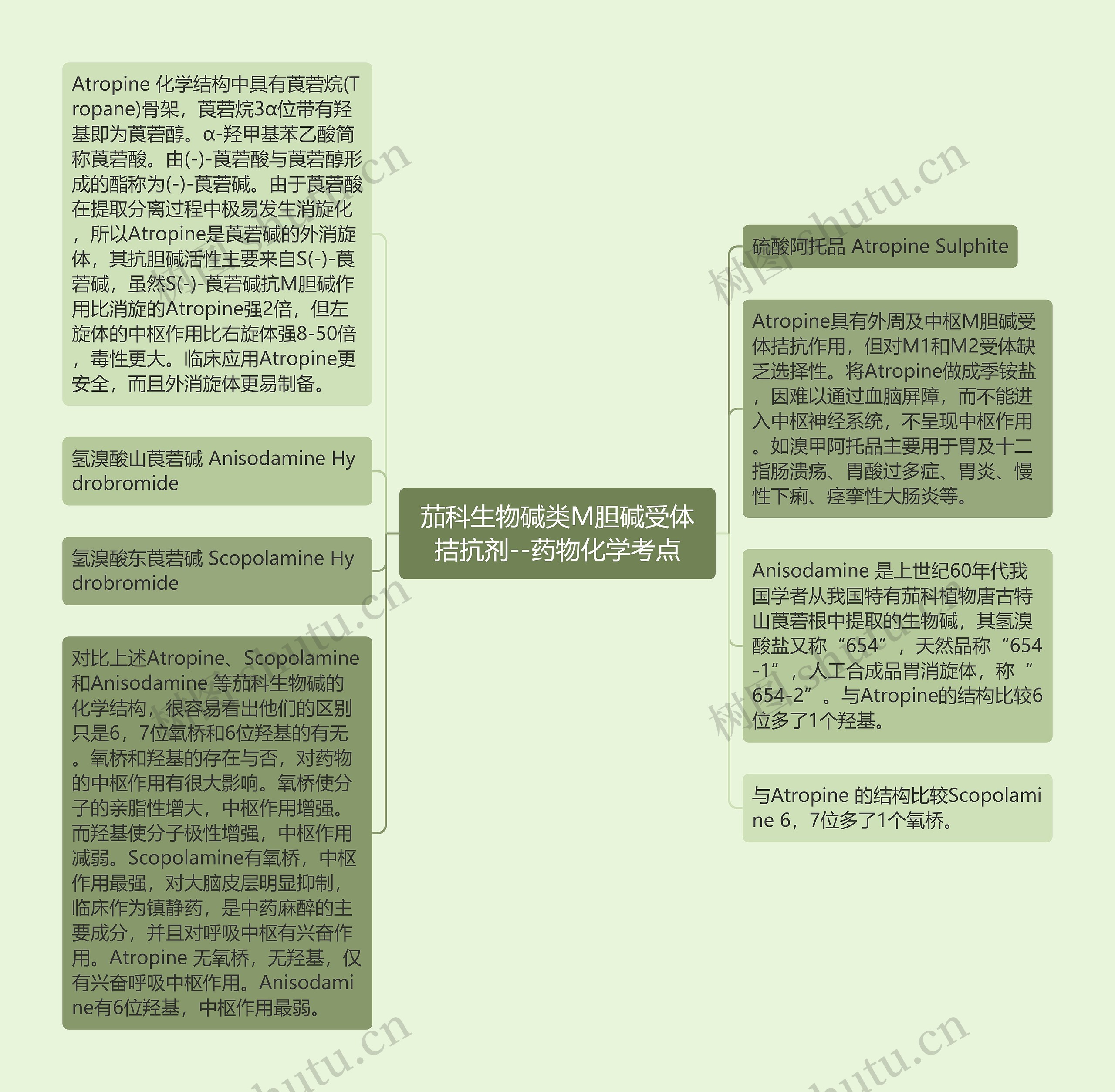 ​茄科生物碱类M胆碱受体拮抗剂--药物化学考点思维导图