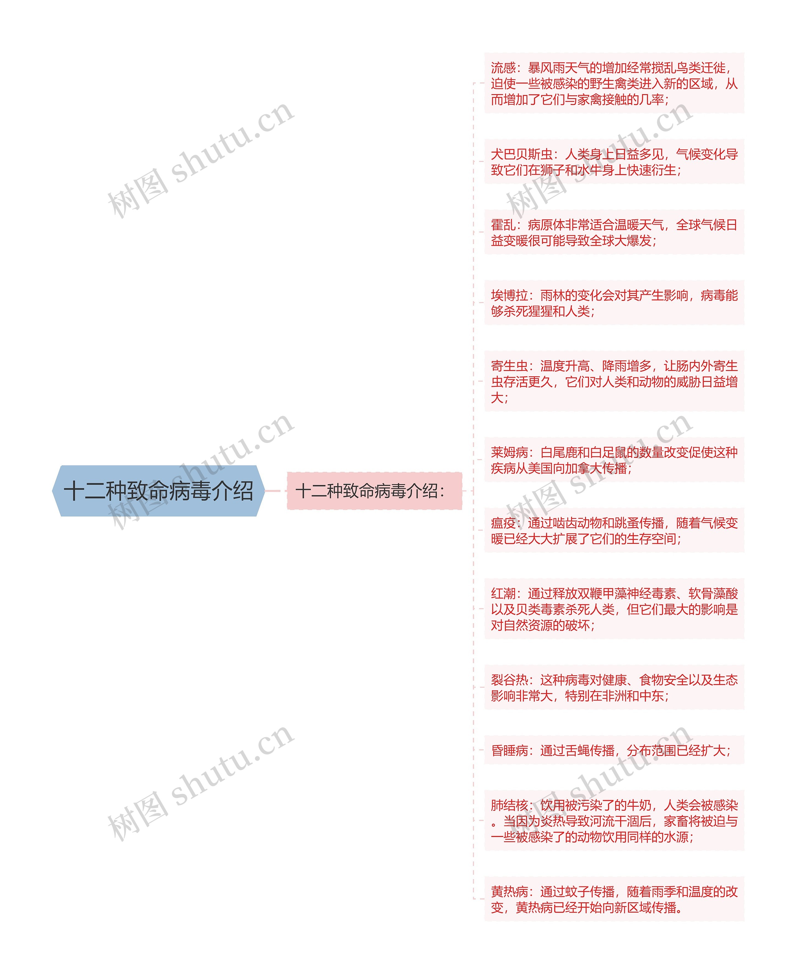 十二种致命病毒介绍思维导图