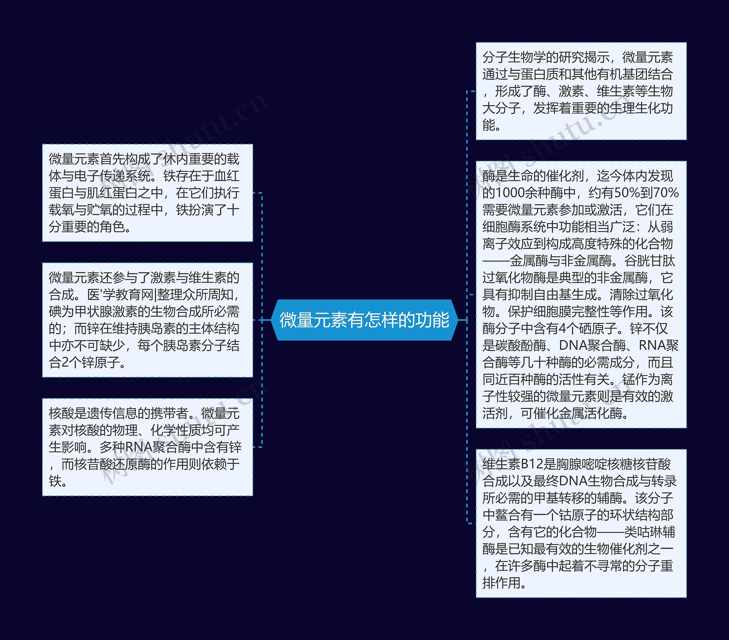 微量元素有怎样的功能