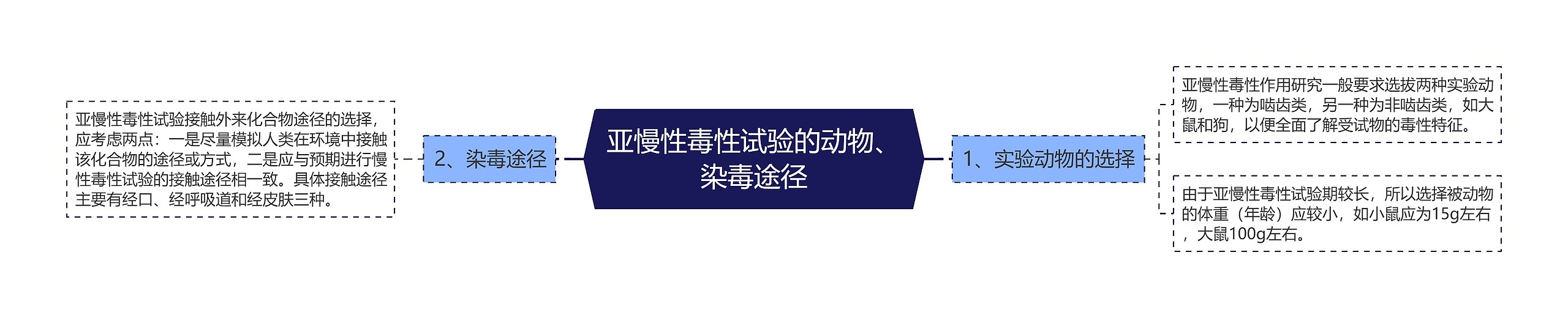 亚慢性毒性试验的动物、染毒途径思维导图