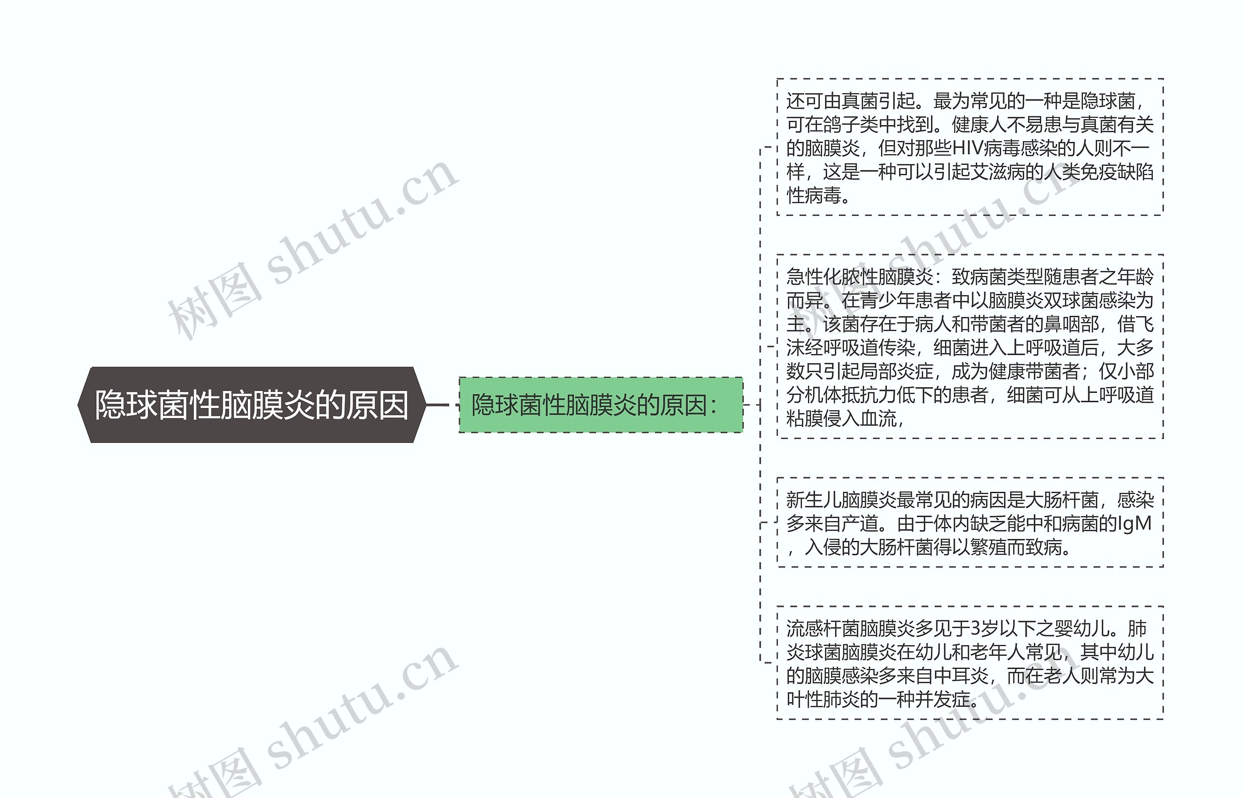 隐球菌性脑膜炎的原因思维导图