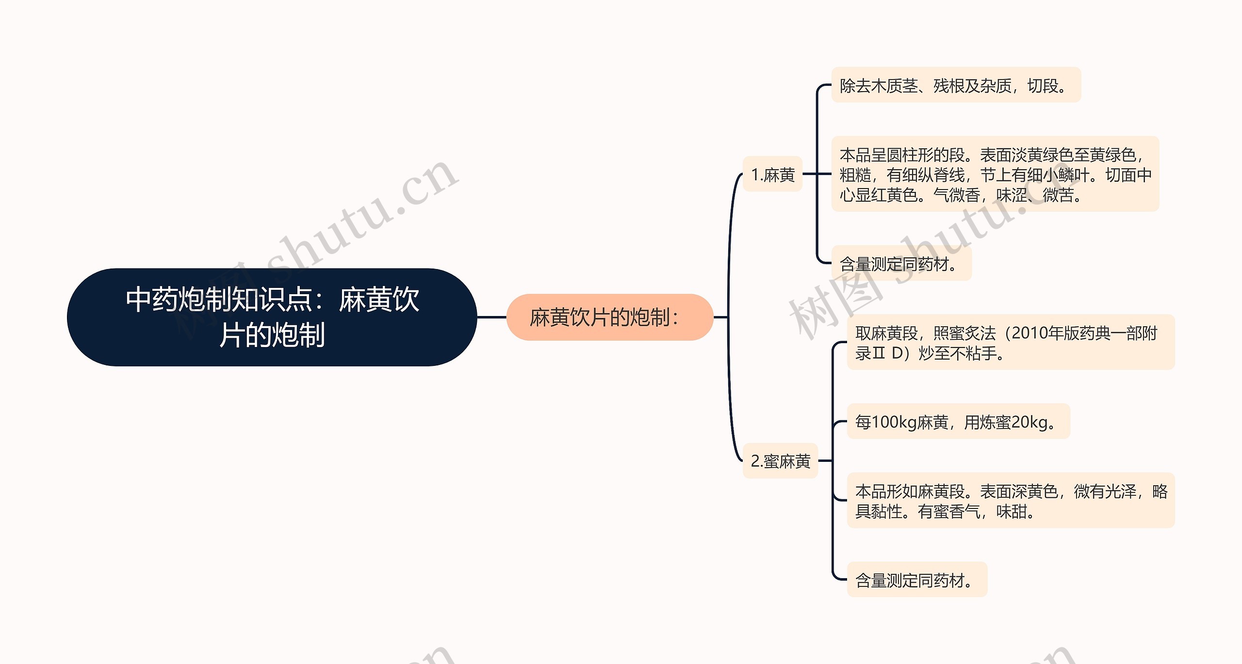 中药炮制知识点：麻黄饮片的炮制思维导图