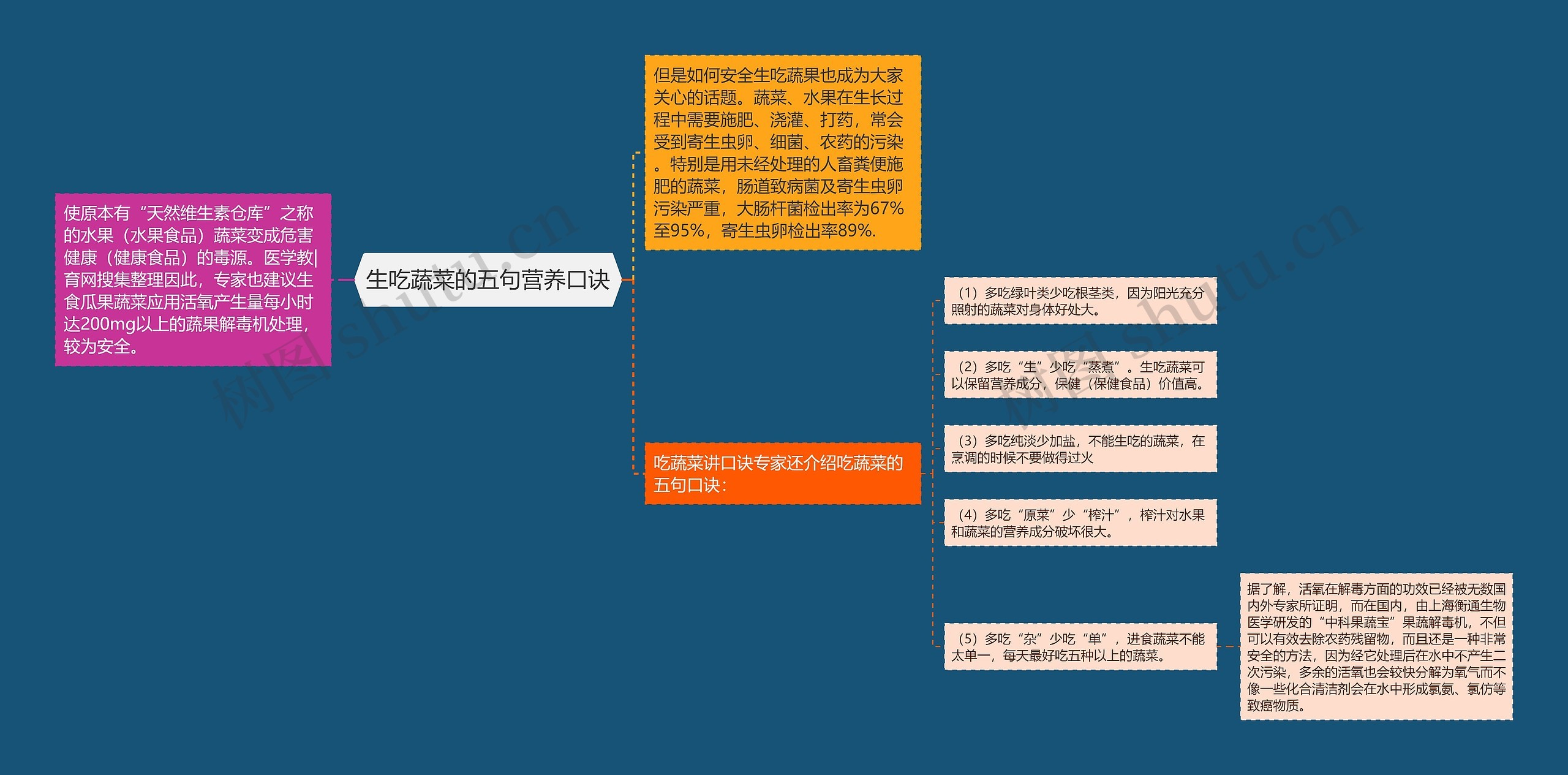 生吃蔬菜的五句营养口诀思维导图