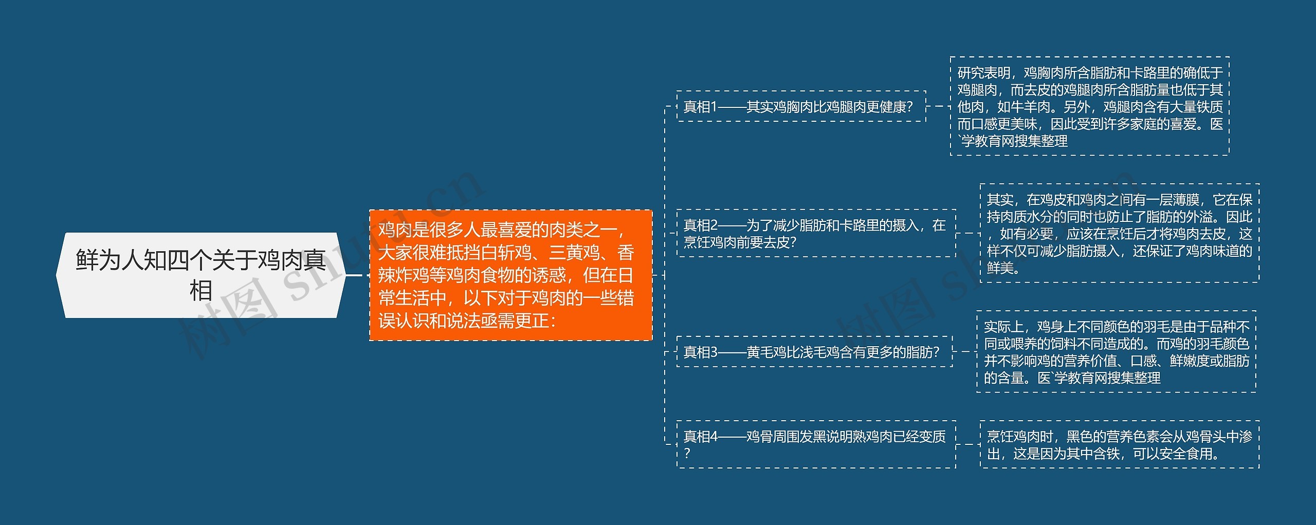 鲜为人知四个关于鸡肉真相思维导图