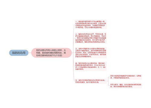 脂肪的功用