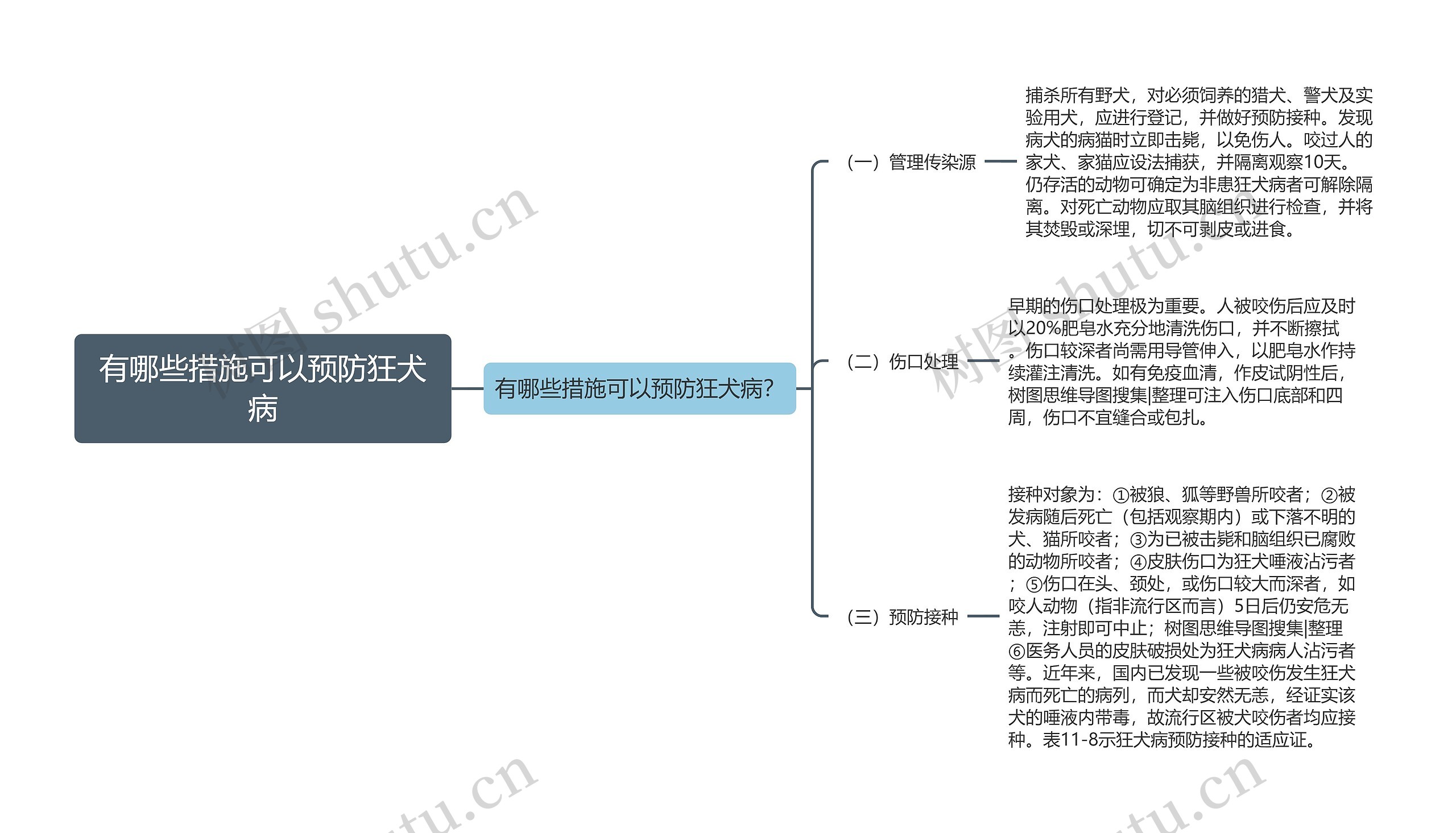 有哪些措施可以预防狂犬病思维导图