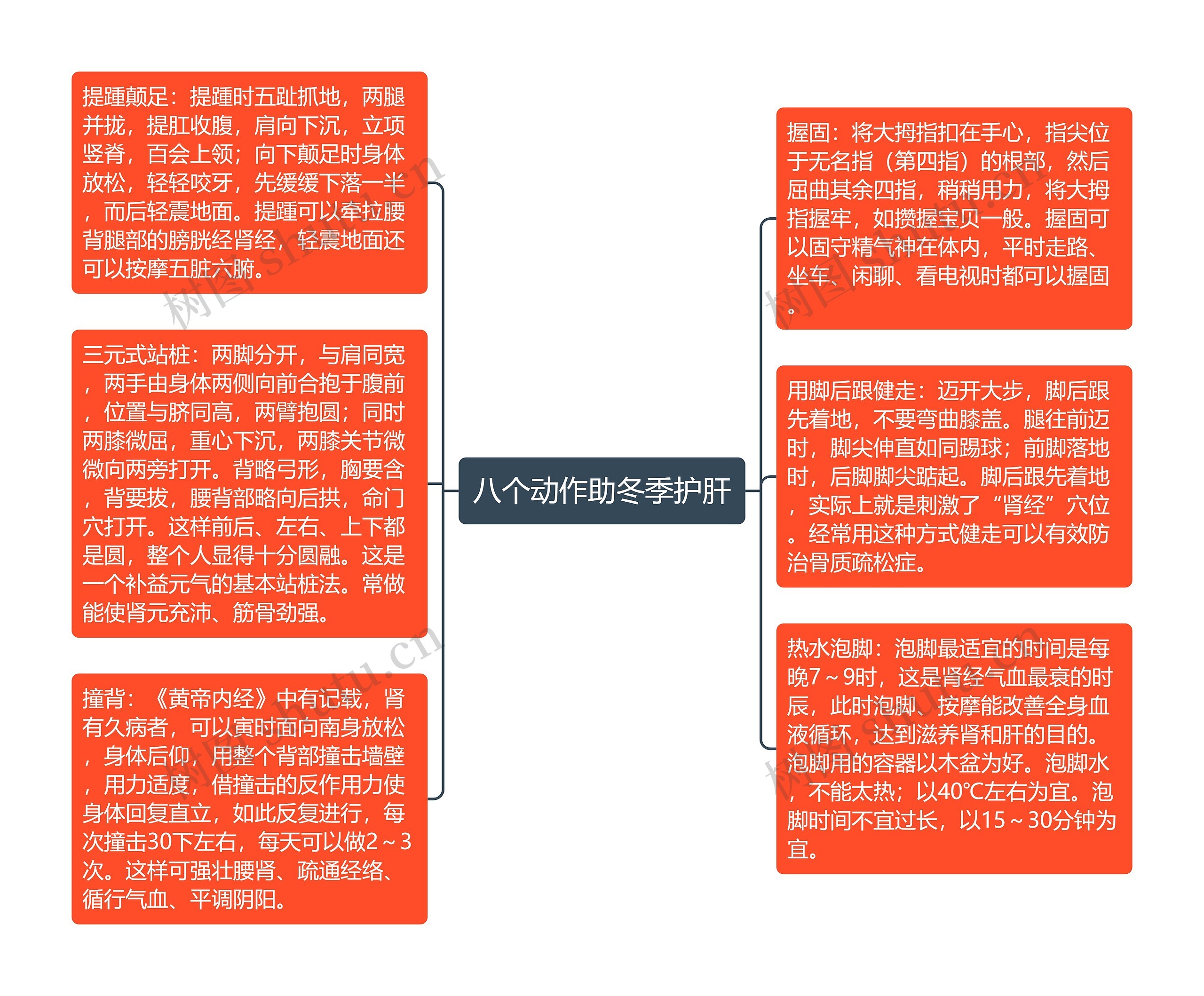 八个动作助冬季护肝思维导图