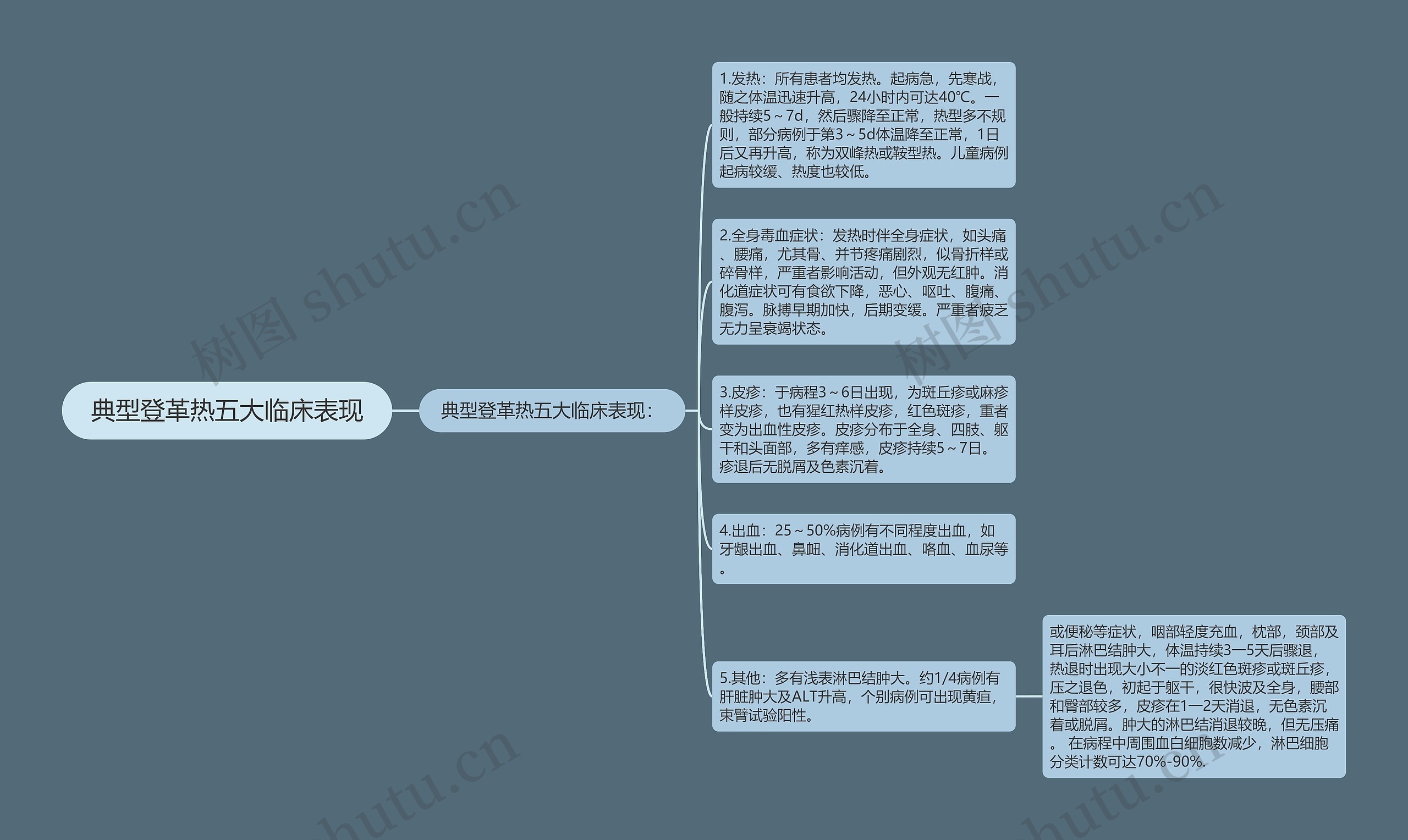 典型登革热五大临床表现