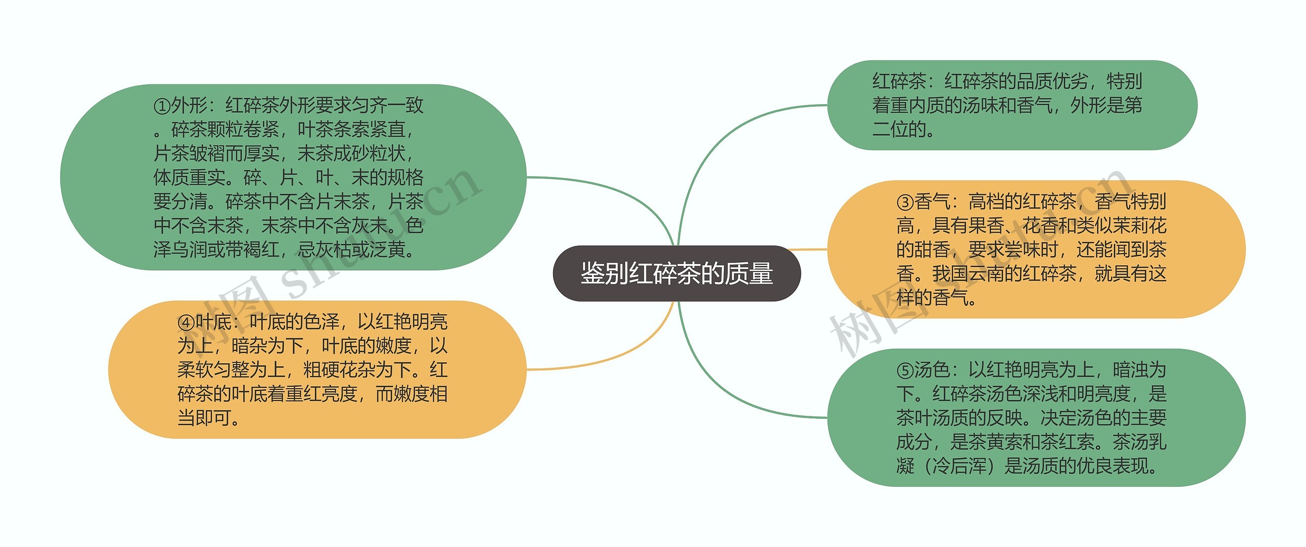 鉴别红碎茶的质量思维导图